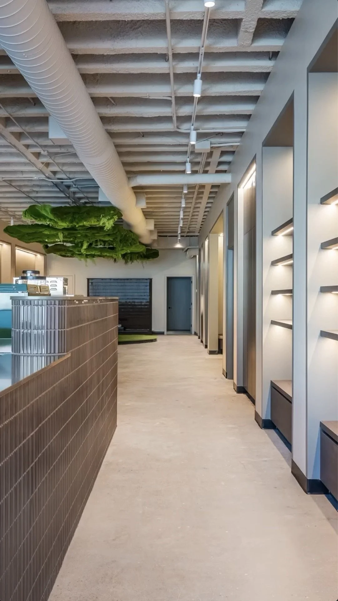 Interior of a modern cafe or restaurant with a wooden counter, white walls with shelves, and large leafy green plants hanging from the ceiling.