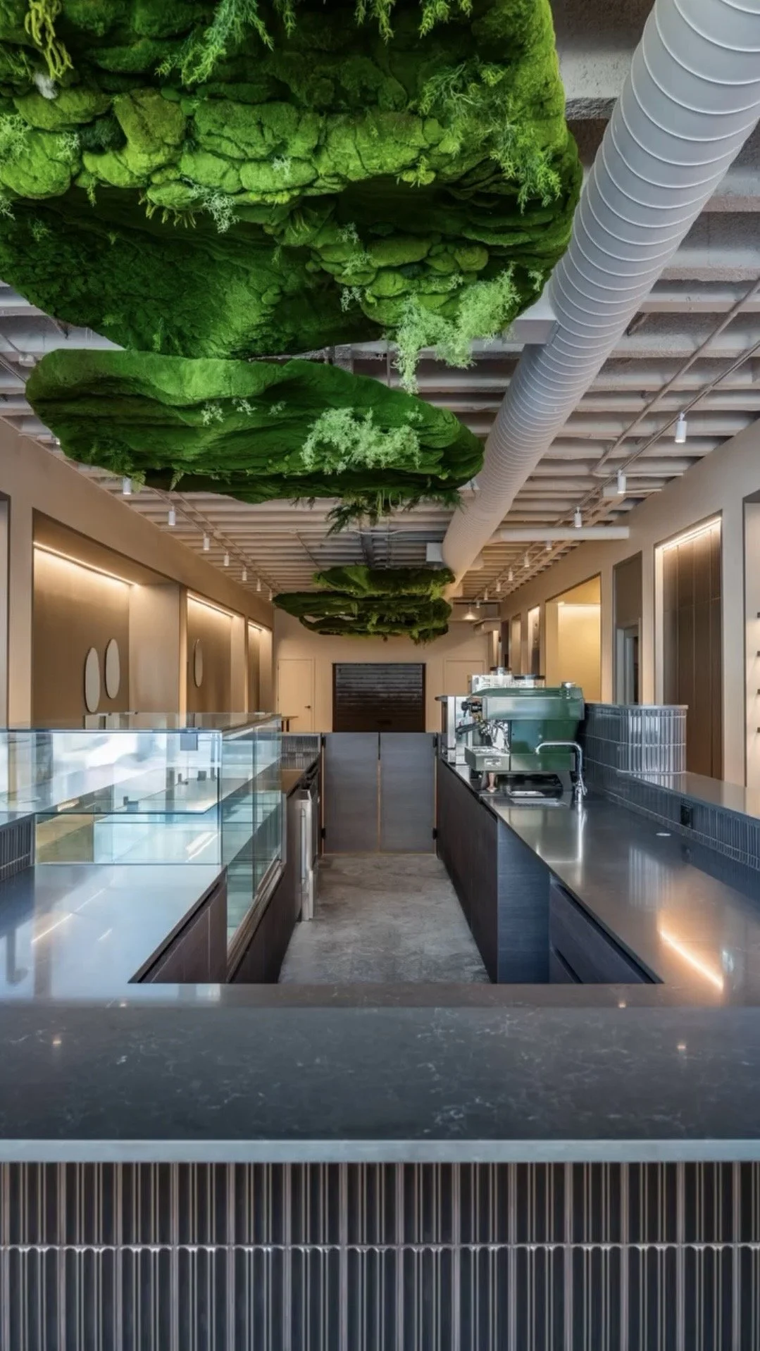 Interior of a modern cafe or restaurant with ceiling decorations made of green plants and lettuce leaves, stainless steel counters, and a coffee machine.