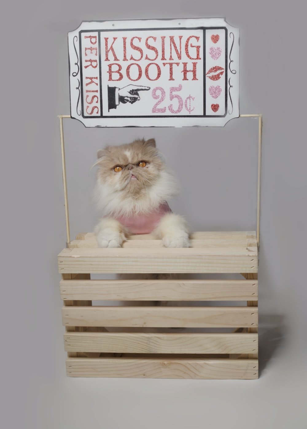 2ACB6D24-F2B1-4DDA-AFFF-BA024995640F.jpeg