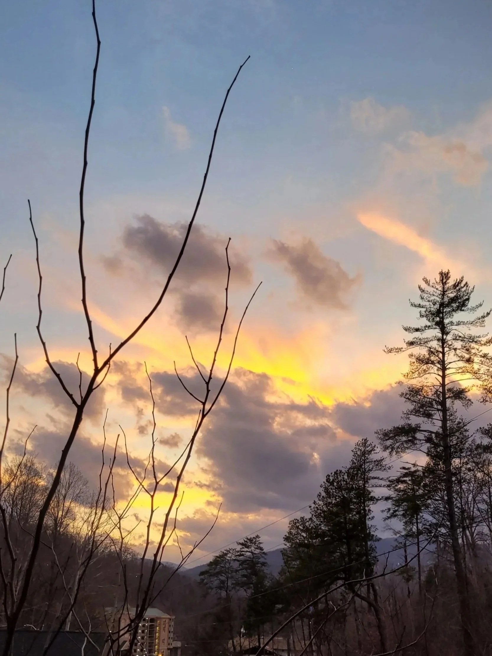 original project proposal