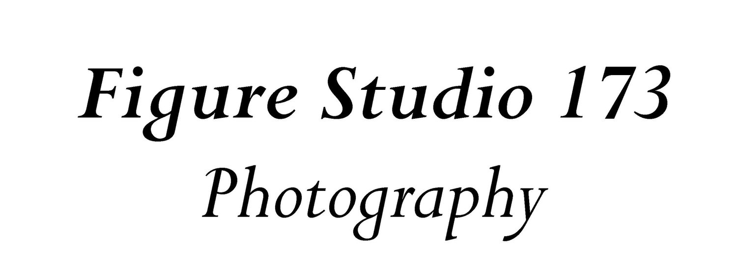 Figure Studio 173 Photography