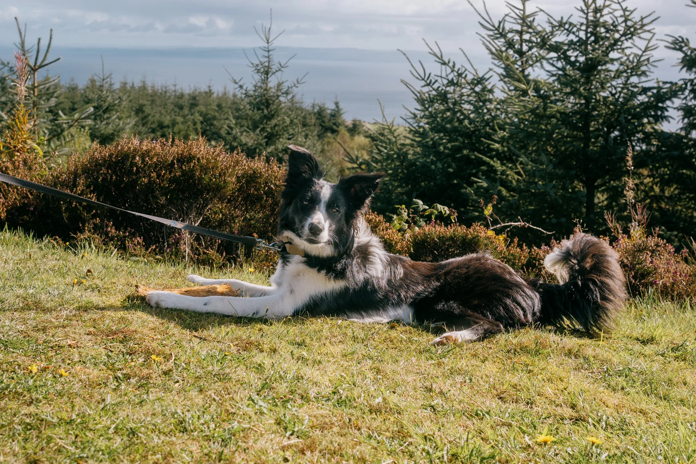 Arran50-48.jpg