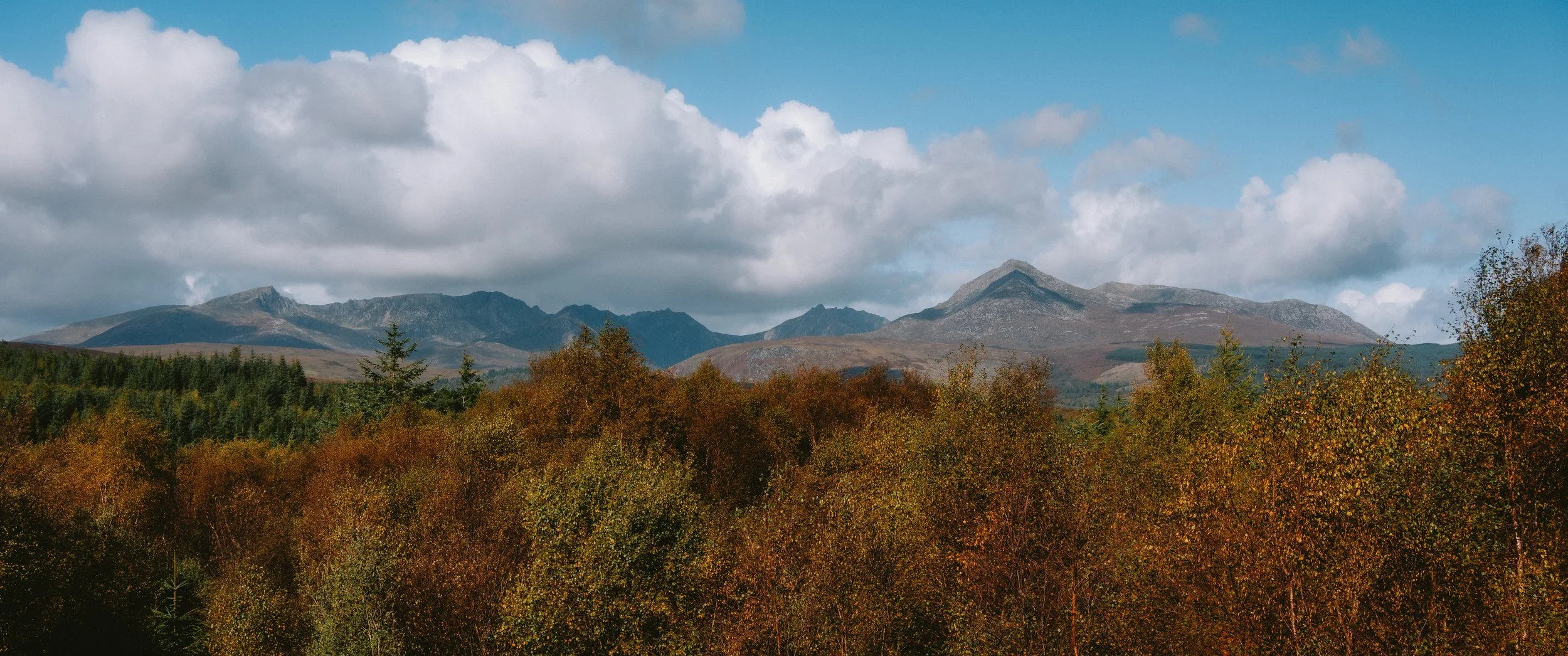 Arran50-50.jpg