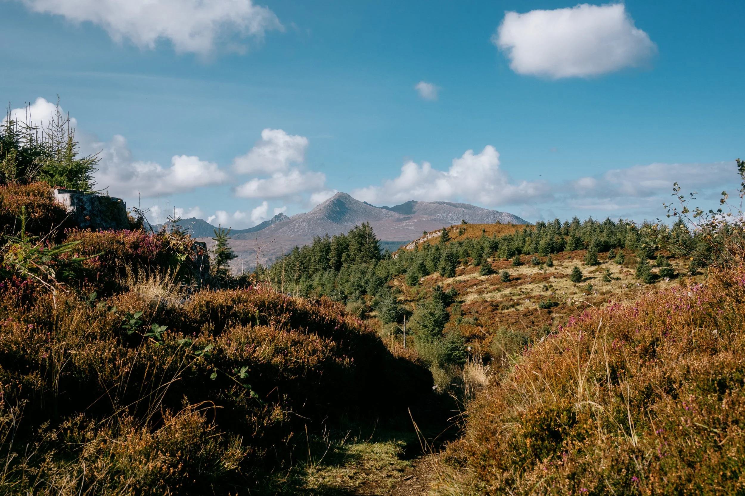 Arran50-65.jpg