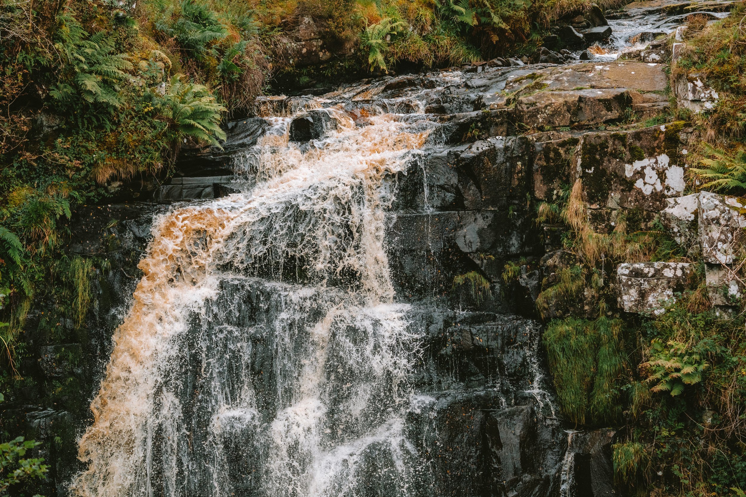 Arran50-77.jpg
