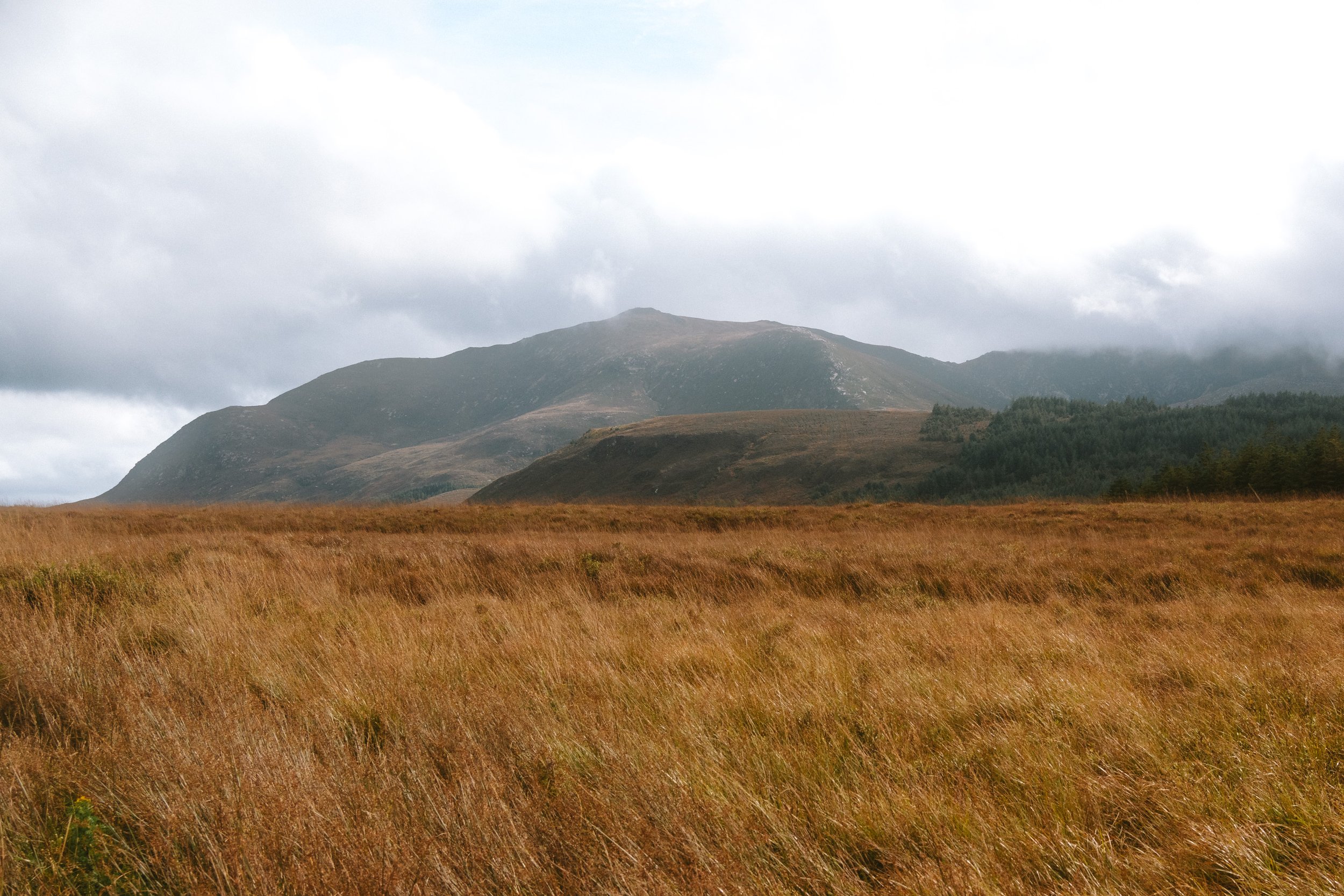 Arran50-38.jpg