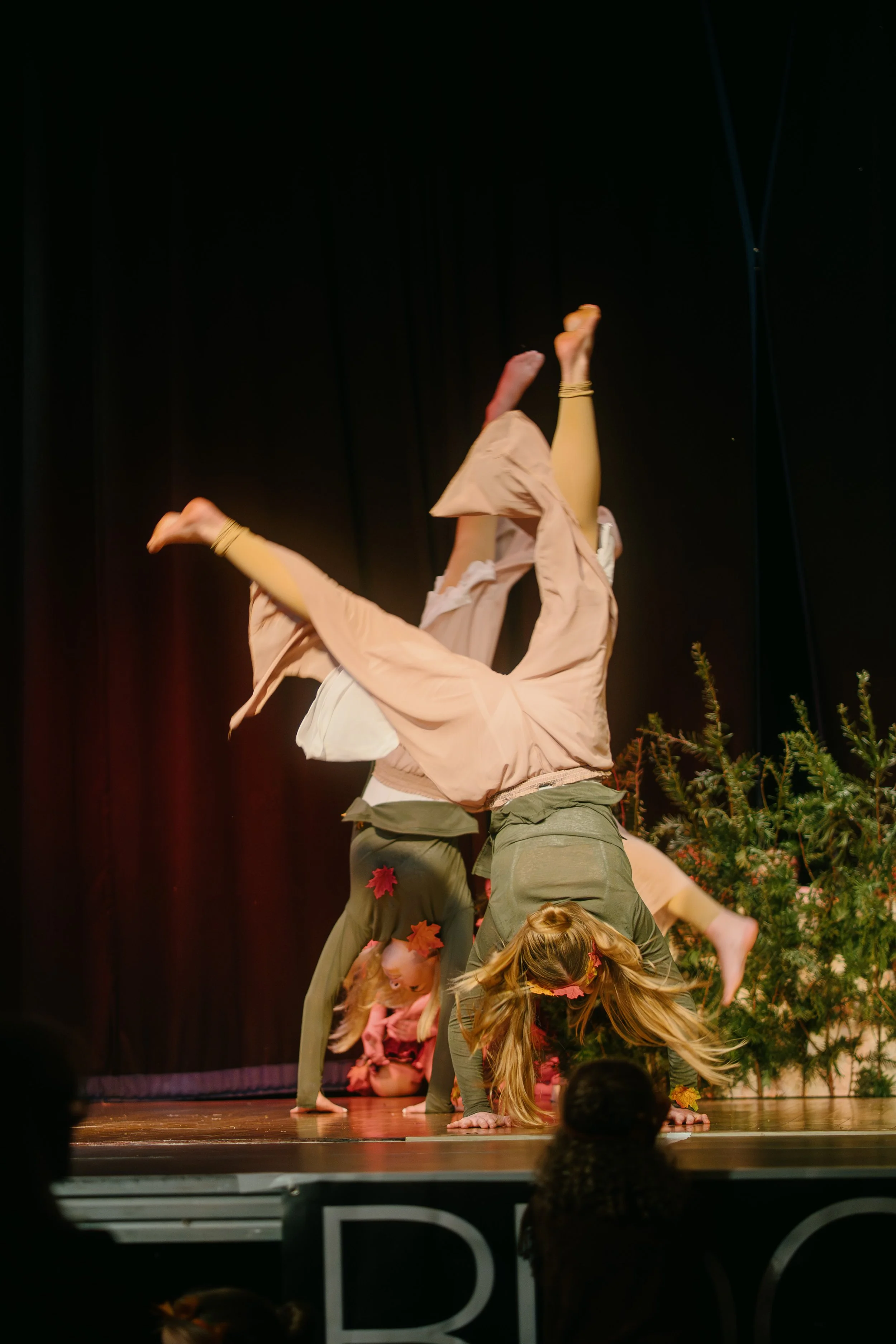 DSC03307.jpg