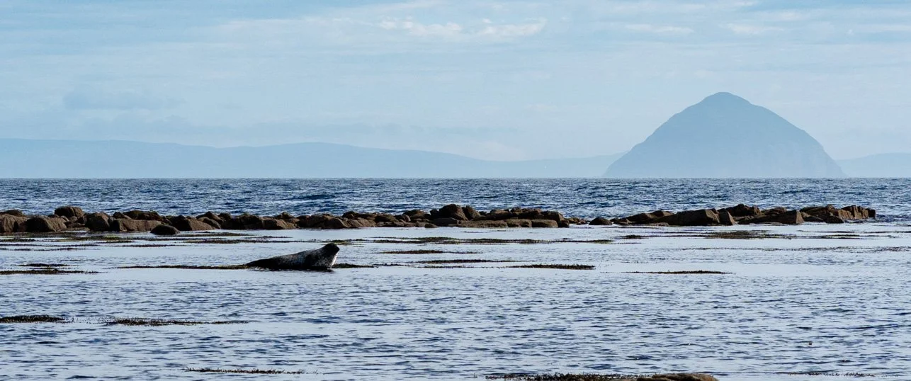 Arran50-7.jpg