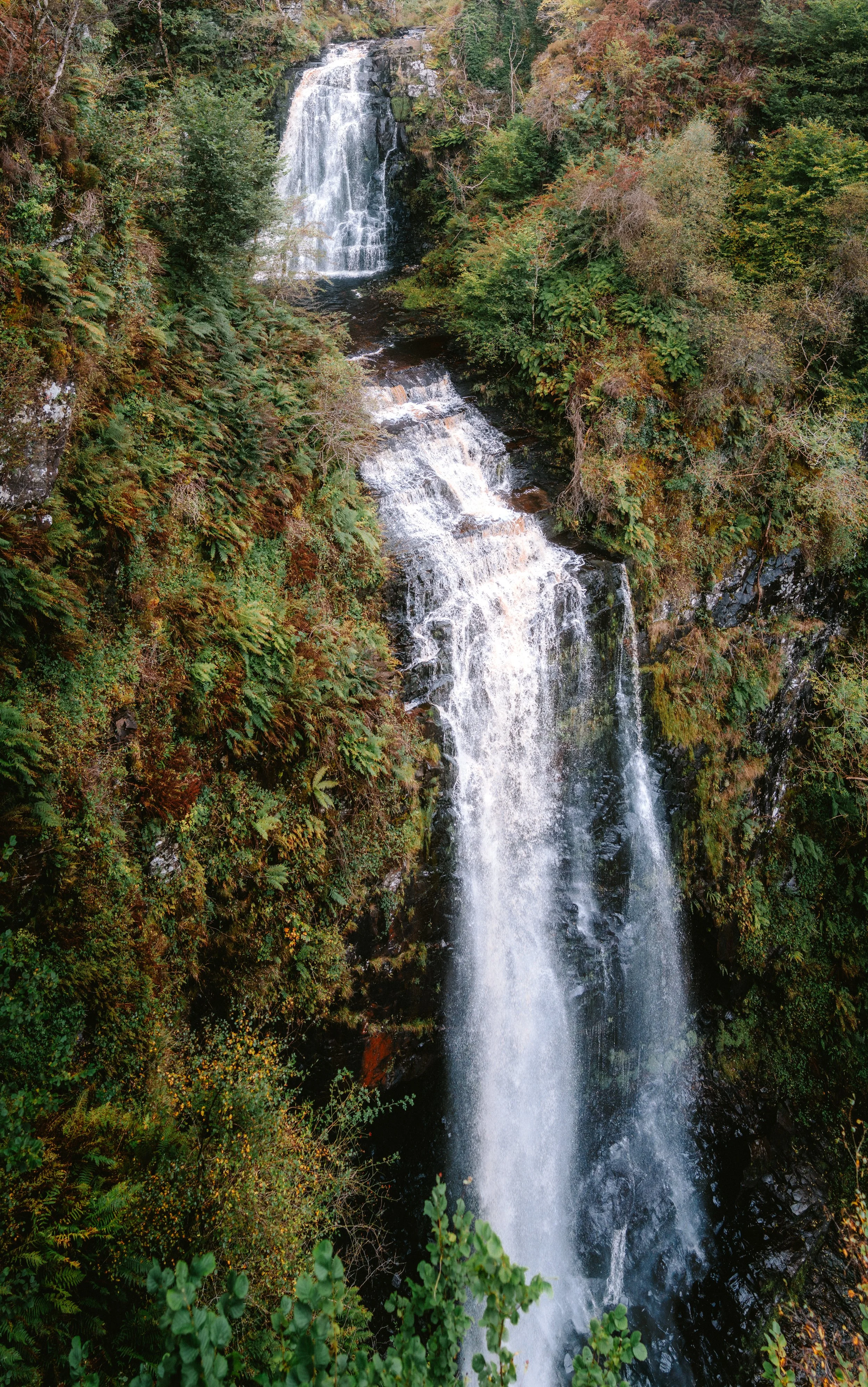 Arran50-76.jpg
