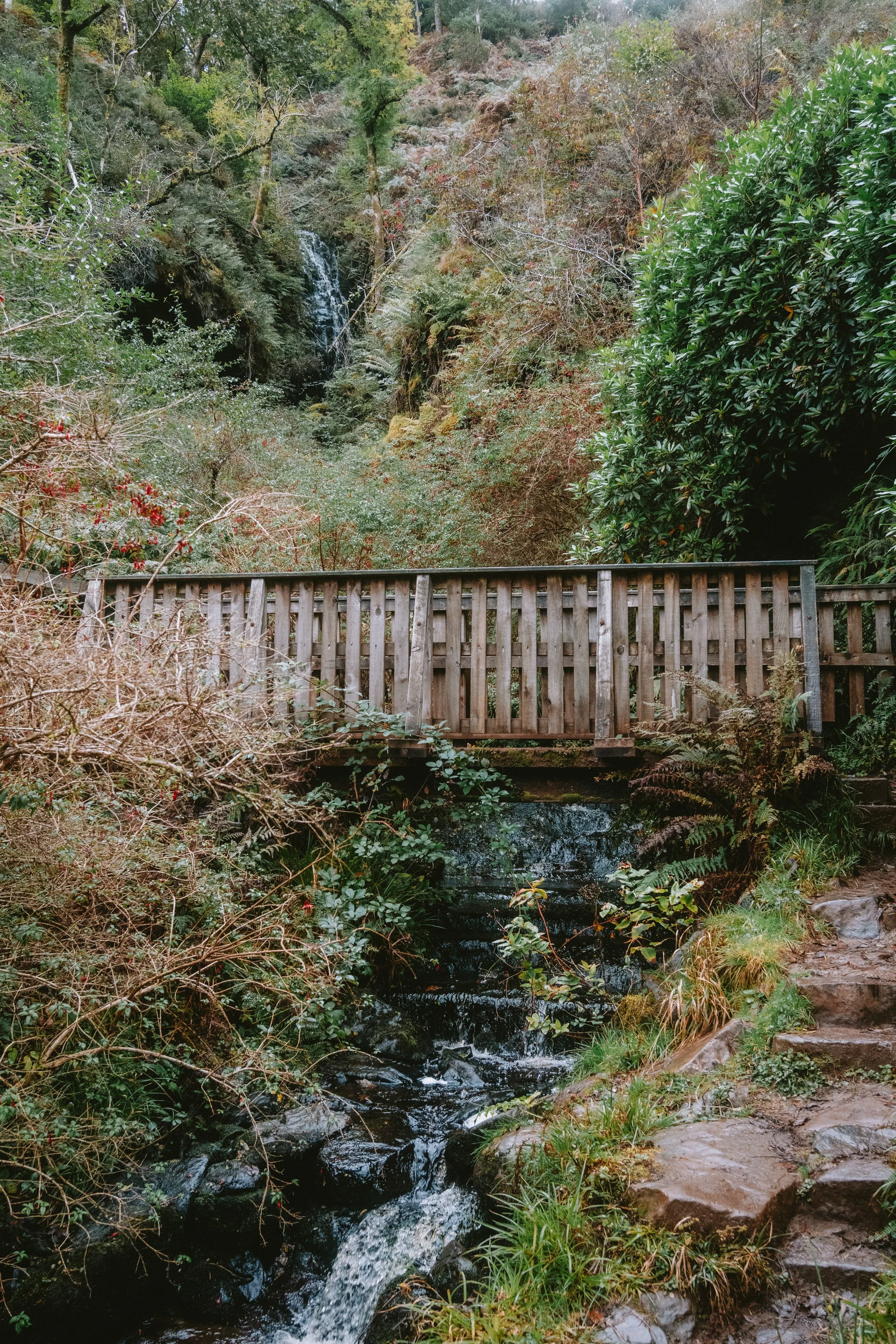 Arran50-73.jpg