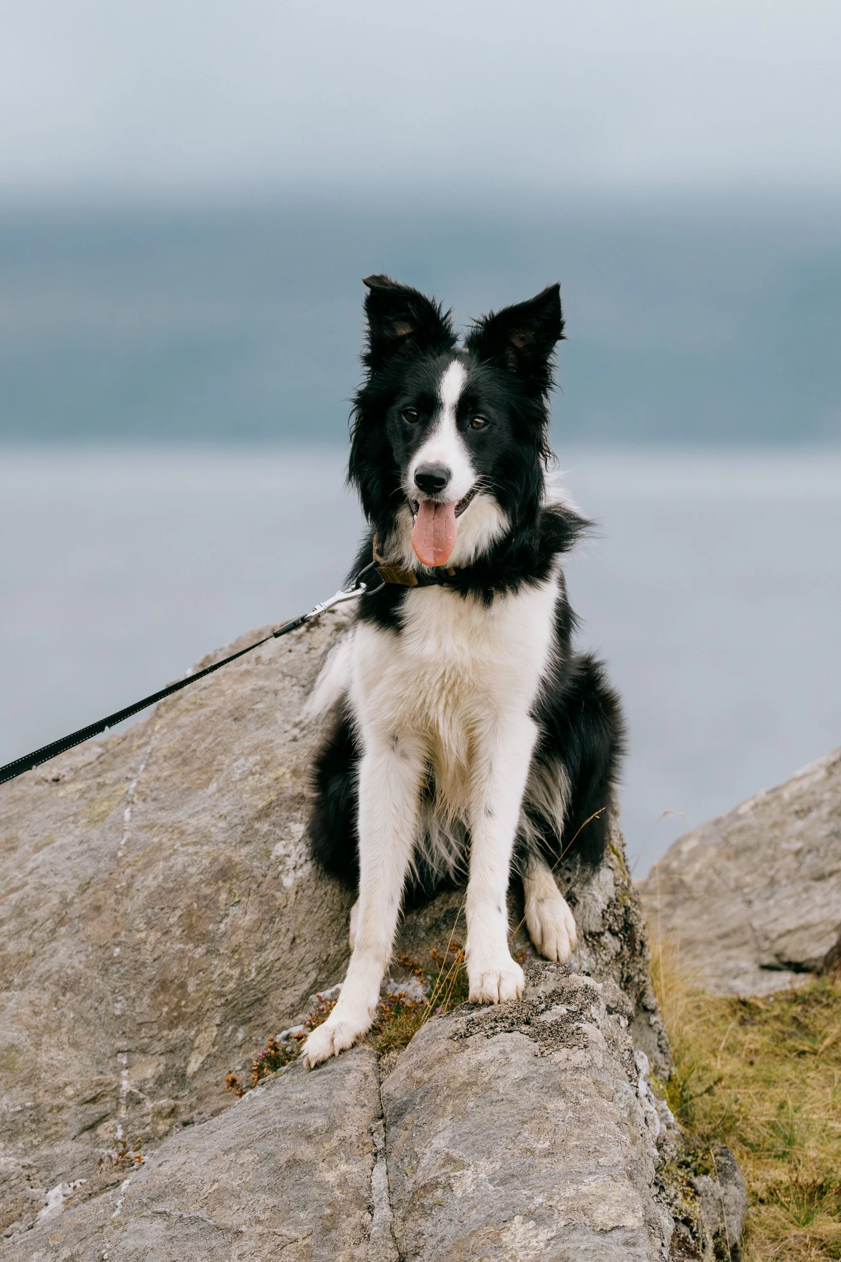Arran50-32.jpg