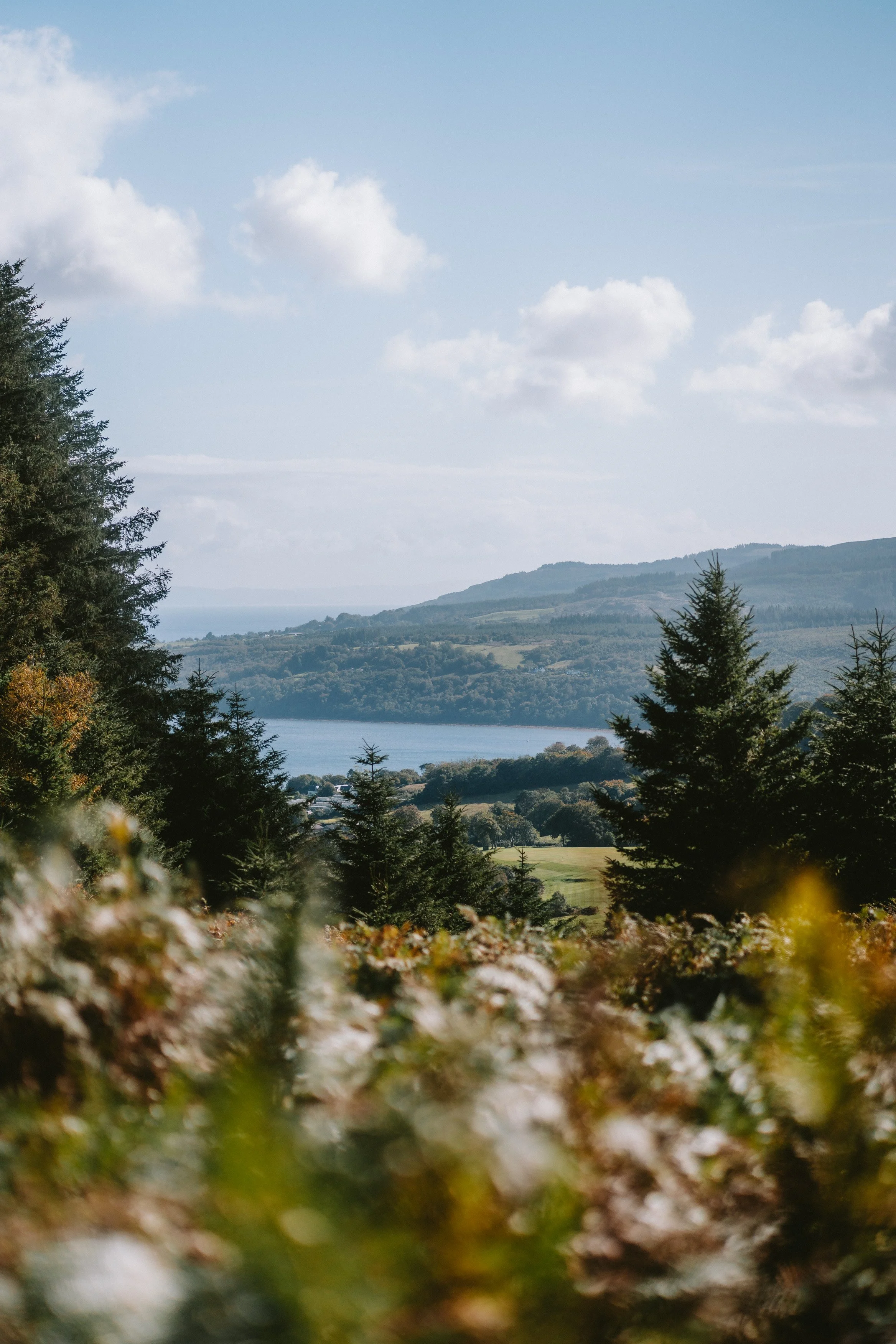 Arran50-60.jpg