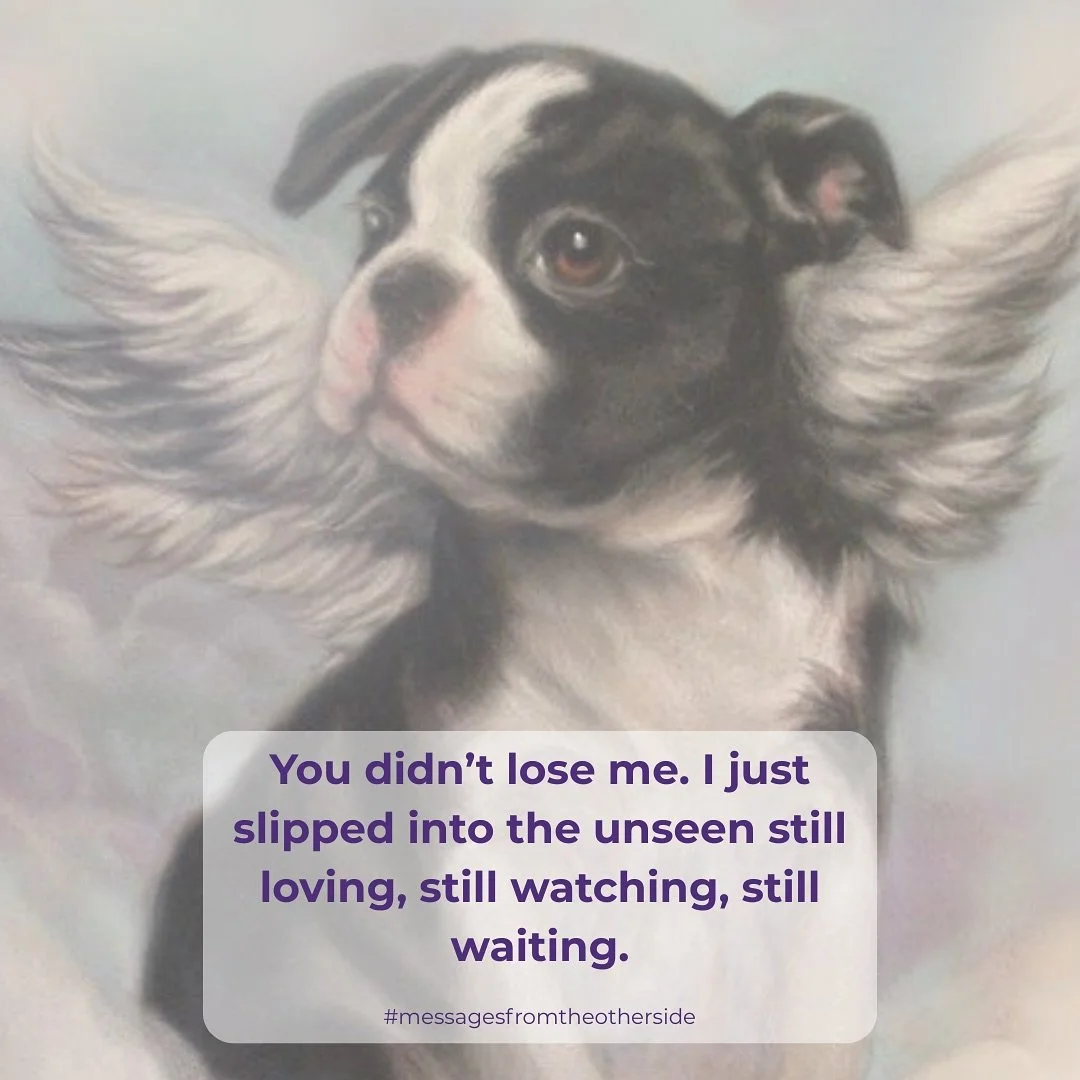 What&rsquo;s one thing you&rsquo;d want to say to your crossed over pet right now?

(Pet Connections, Pet Memories, Signs from Pets, Spiritual Bond, Lingering love, Unseen presence, Soul Memory, Love that stays, Pet Soul Talk, Crossed Over Pet)

#Pet