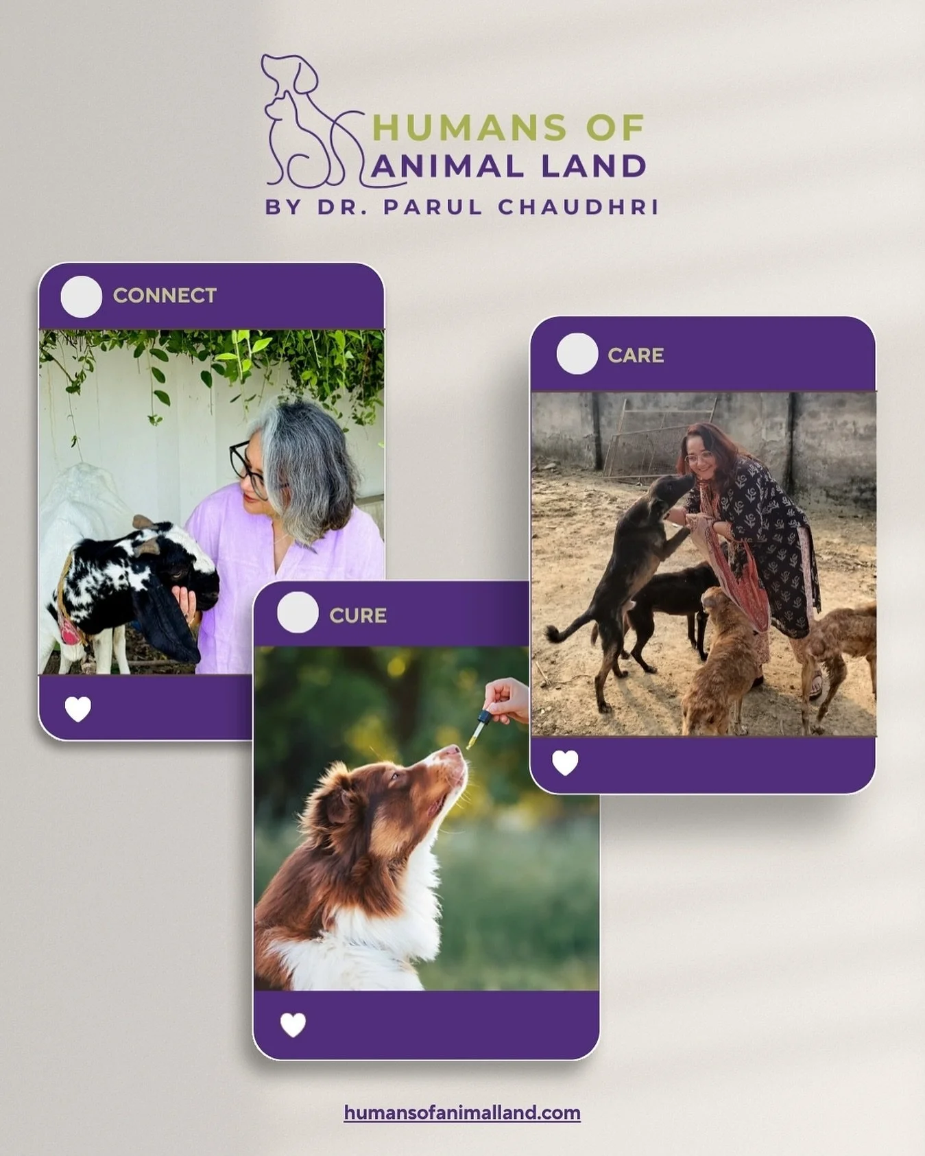 When I started this work, I believed I was here to help animals heal. But over time, I realised it was the animals who were helping me evolve. They were the ones showing me how to listen, how to feel, how to surrender. Every step of my journey has be