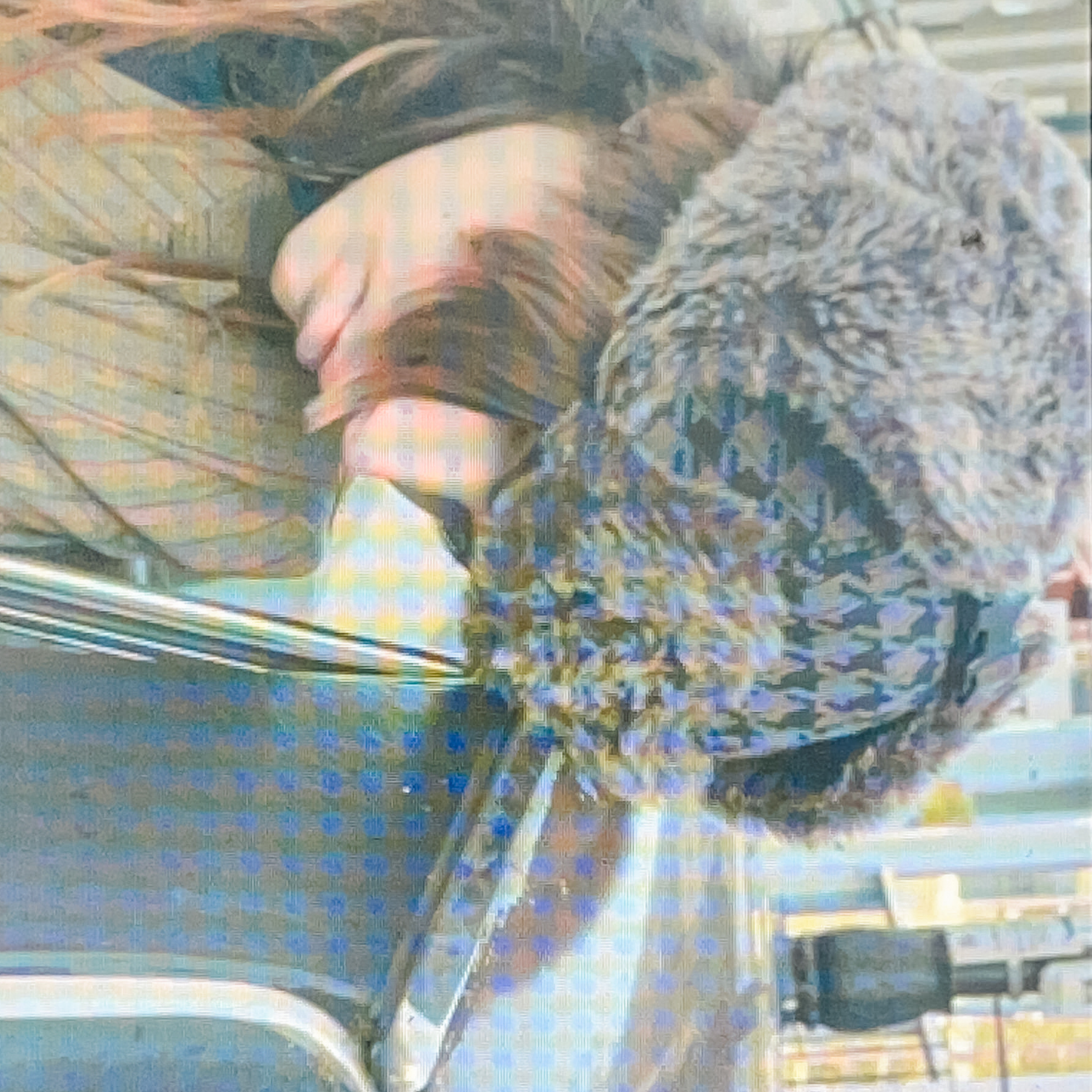 Ven’nus se refugia en un barrio de Barcelona