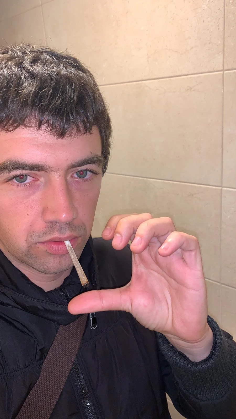 DESCUBRIENDO A: GAVINA mp3