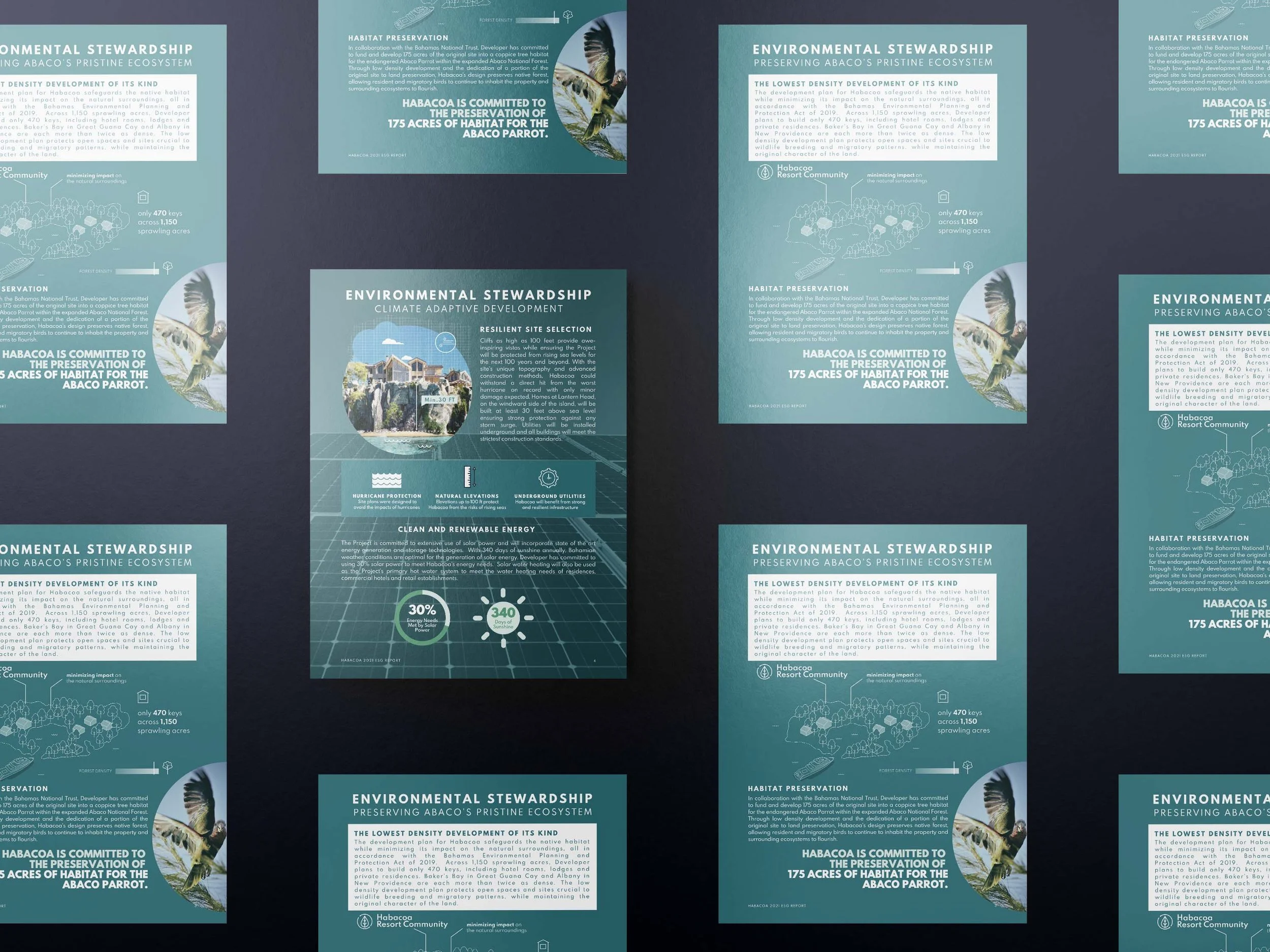 pages 2-3.jpg