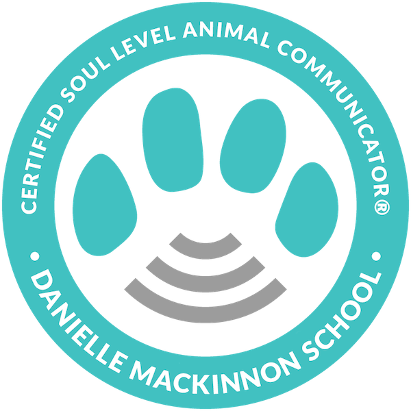 Danielle Mackinnon School Transparent Logo_Certified Soul Level Animal Communicator