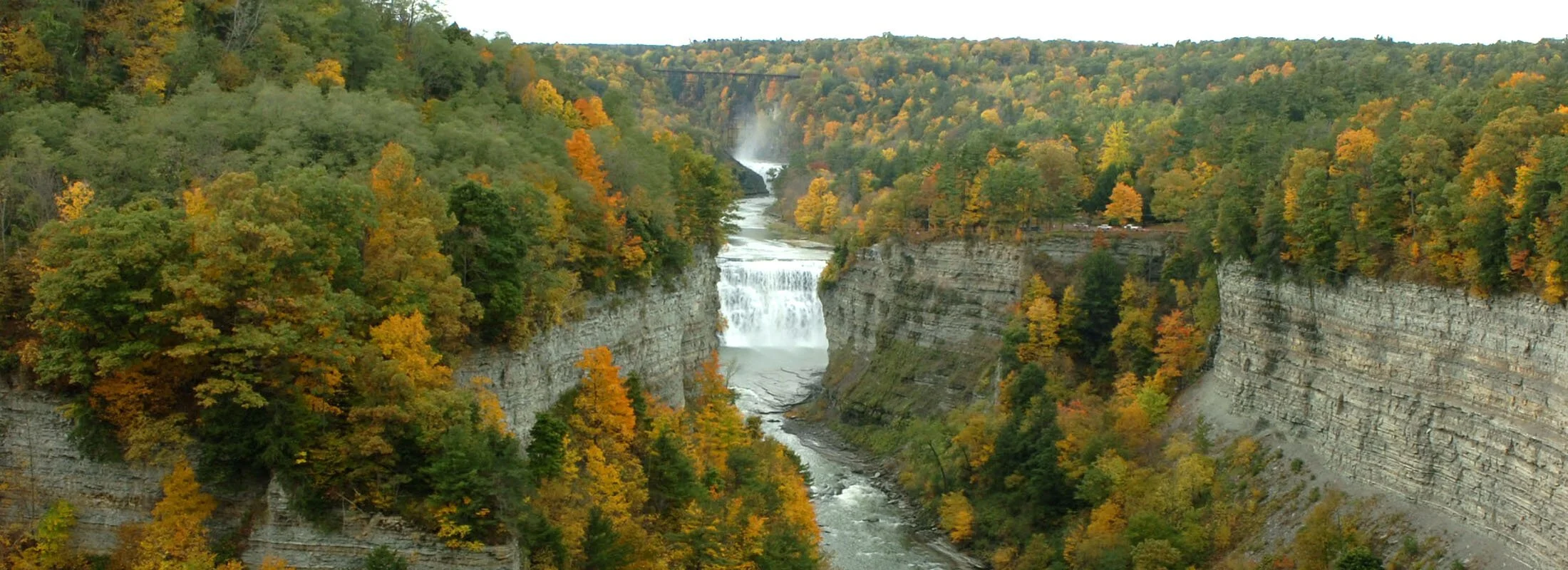 The Western New York Foundation