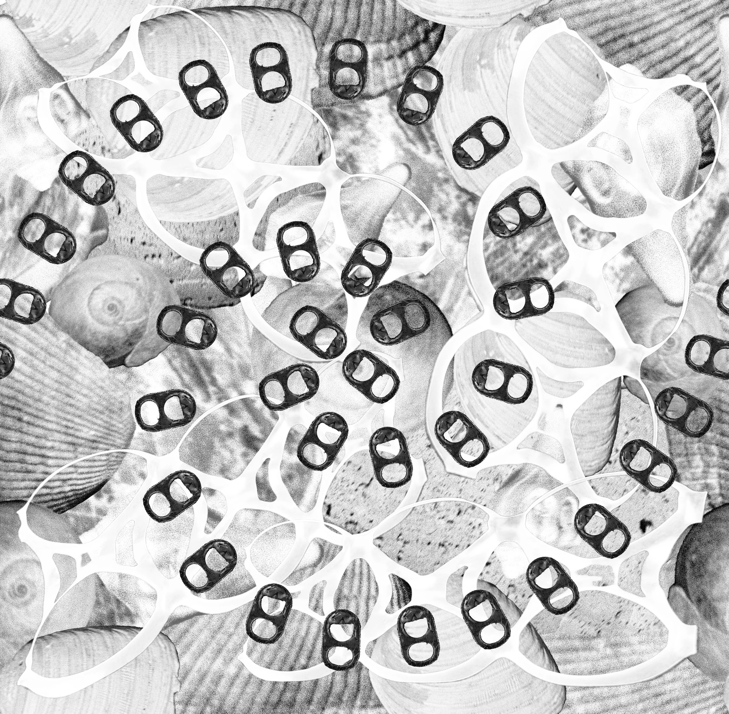 Shore Commentary - Block