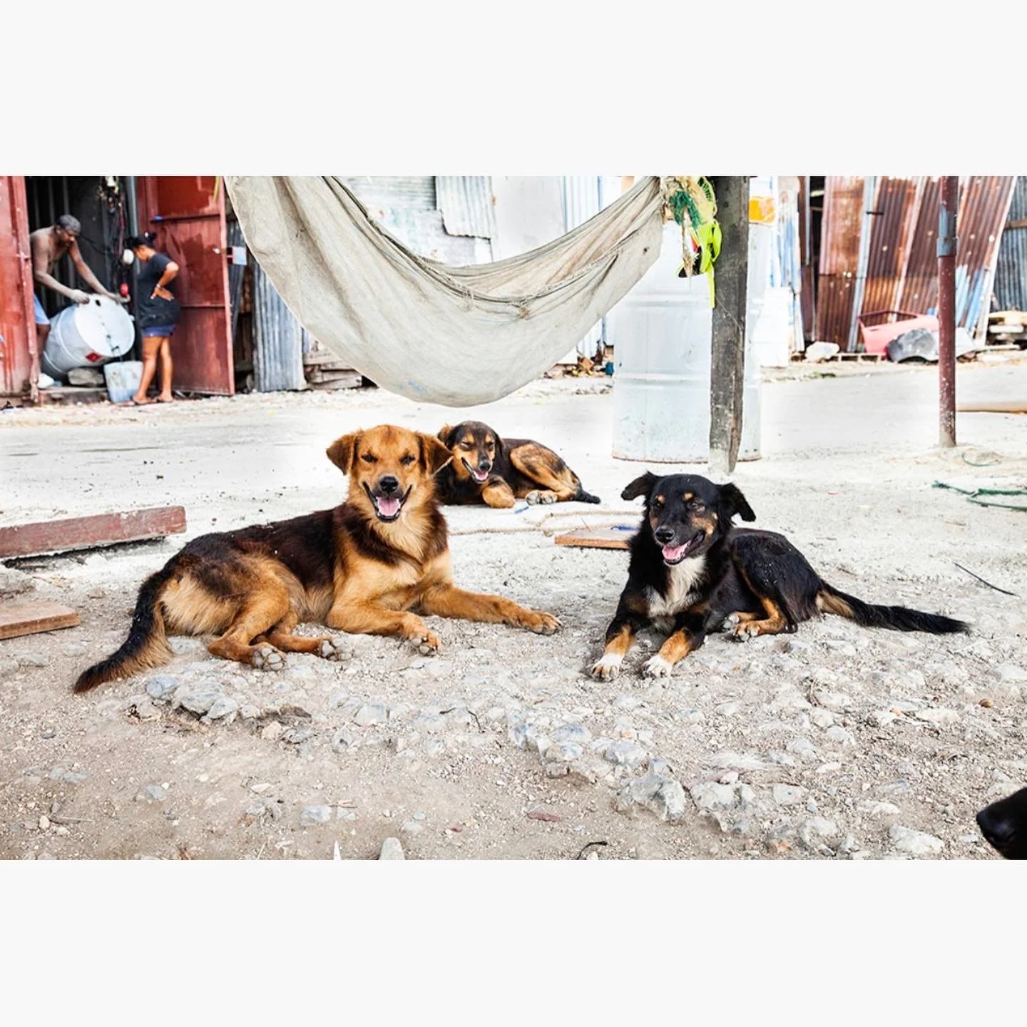 0AF6B111-0F0D-49EF-96C2-A5939D67B3E1 2.JPG