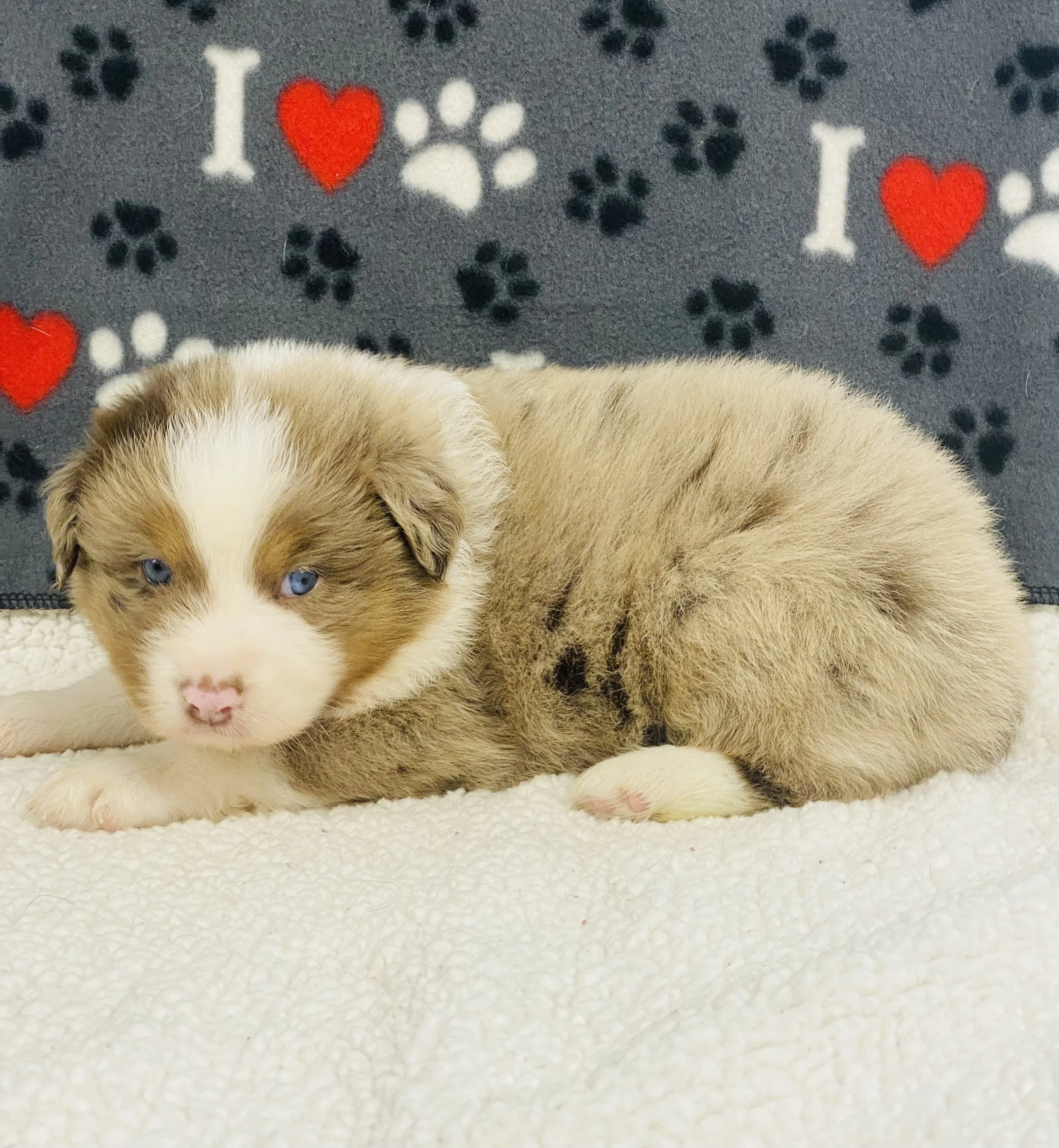 IMG_6429.jpeg