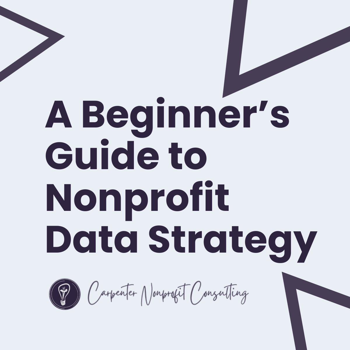 Nonprofit Data Strategy: A Beginner’s Guide to Data-Driven Impact