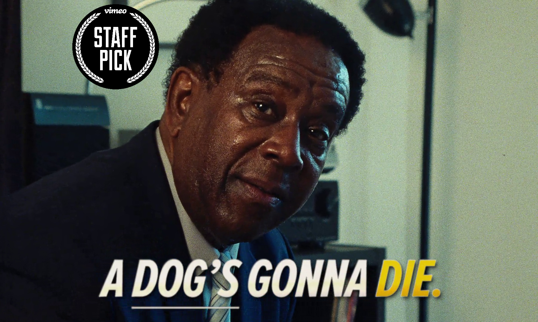 Molekule - "Not Ready for a Dog?"