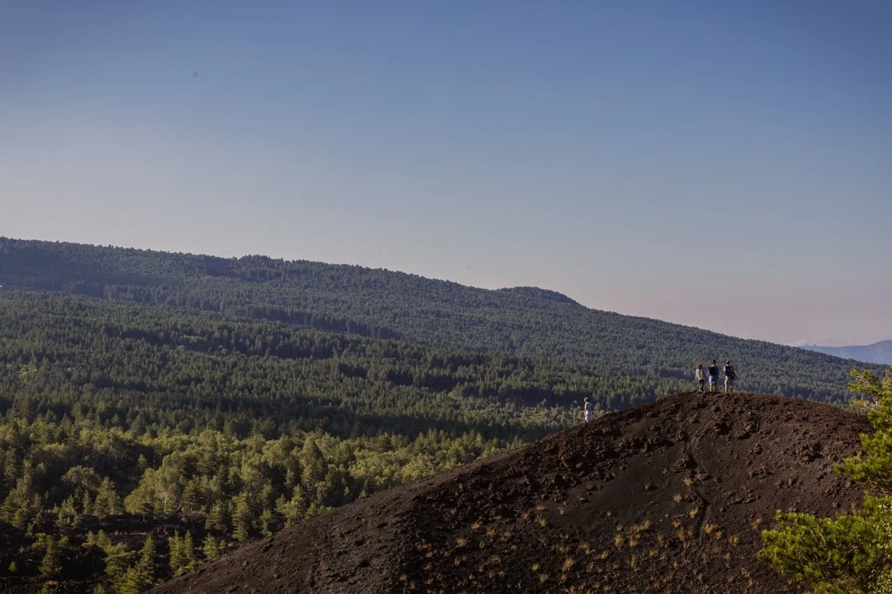 037A2613 - dimensioni grandi.jpeg