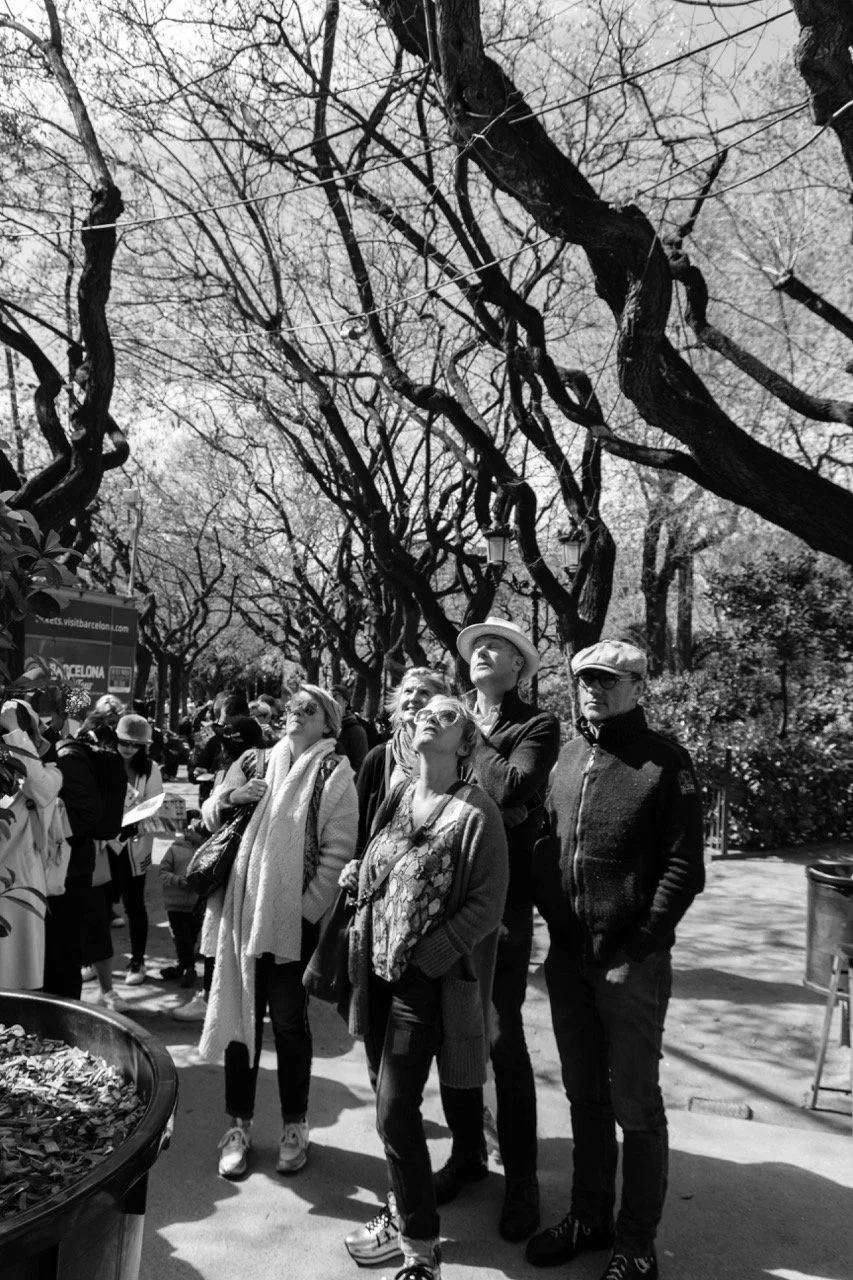 IMG_9822 - dimensioni grandi.jpeg