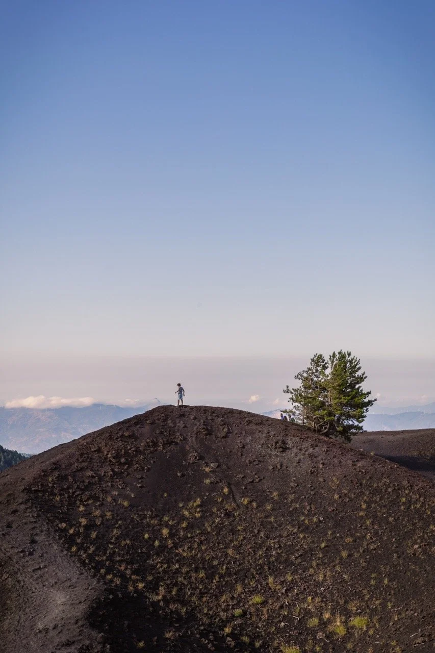 037A2604 - dimensioni grandi.jpeg