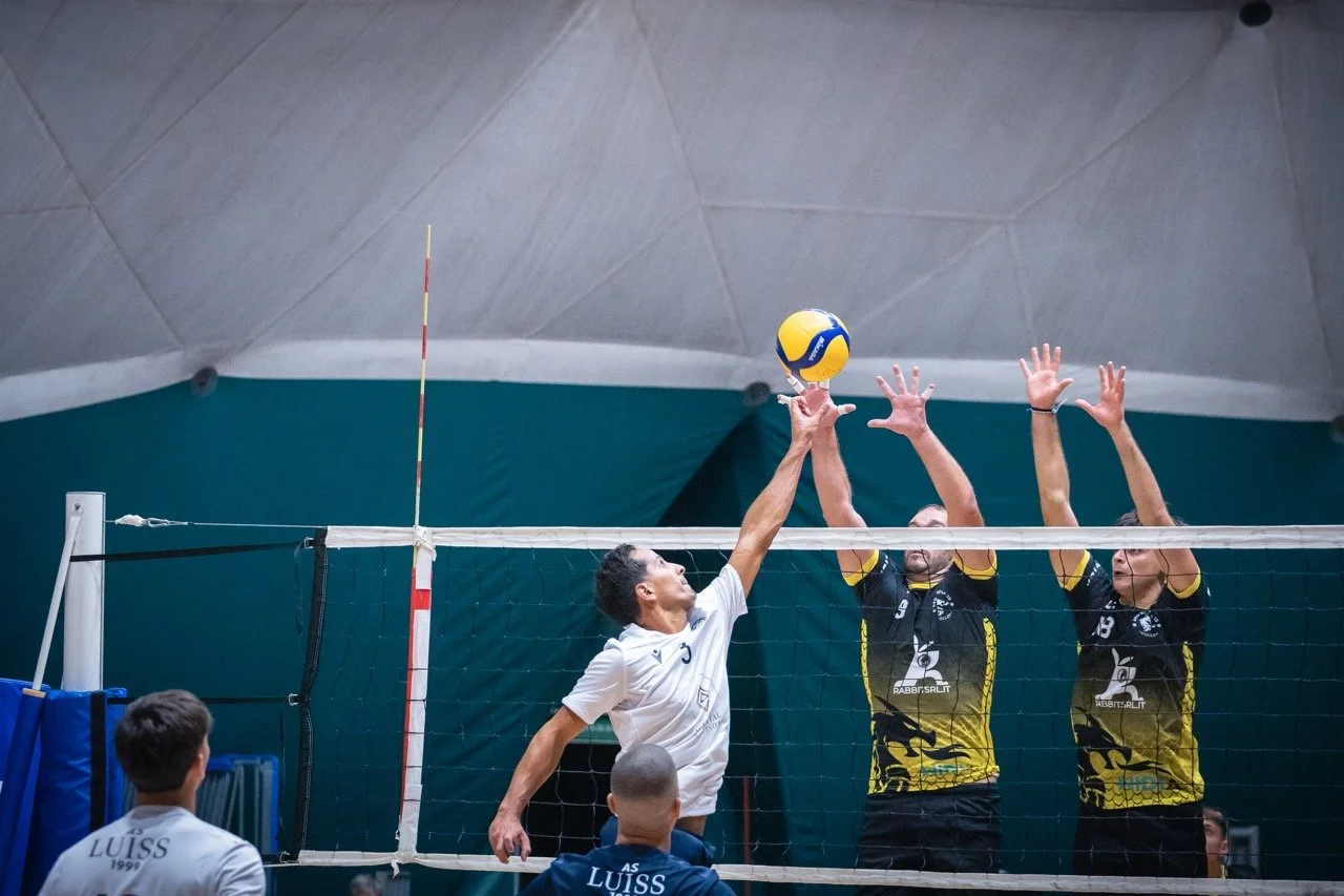 037A1333 - dimensioni grandi.jpeg