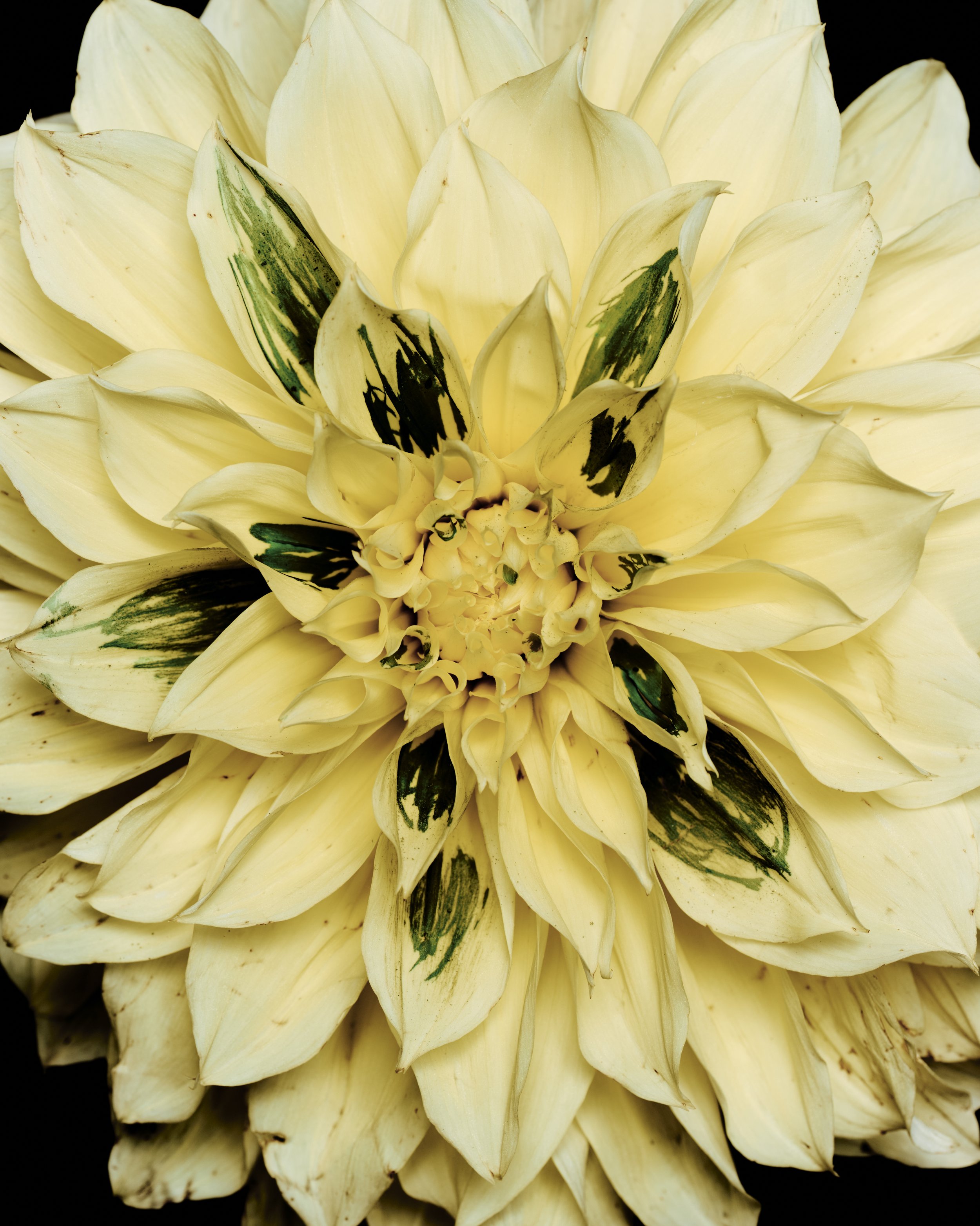 TEST_SANTANA_TONATI_1 23.jpg