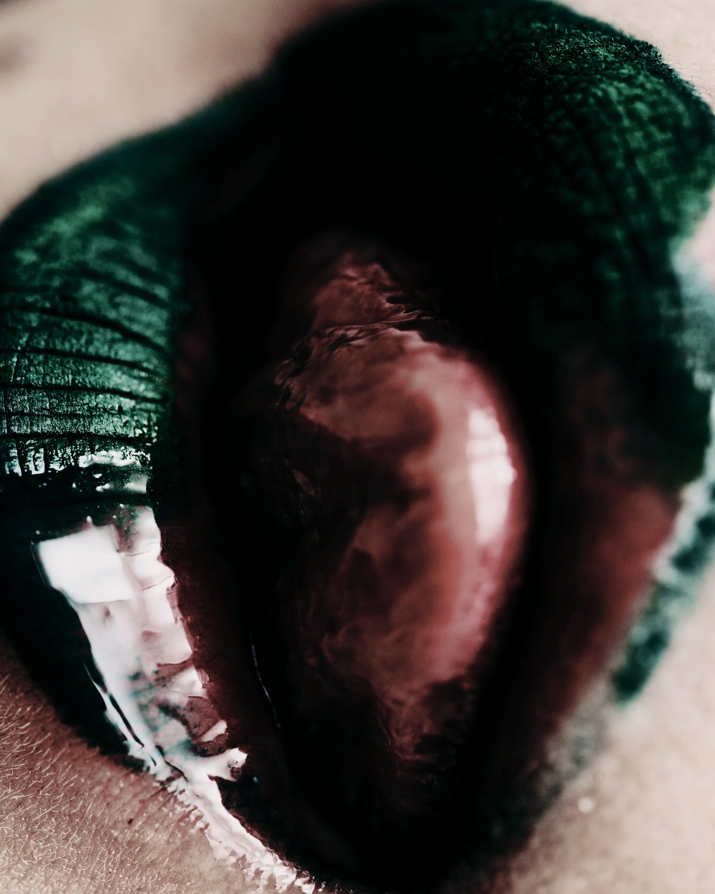 TEETH 17.jpg