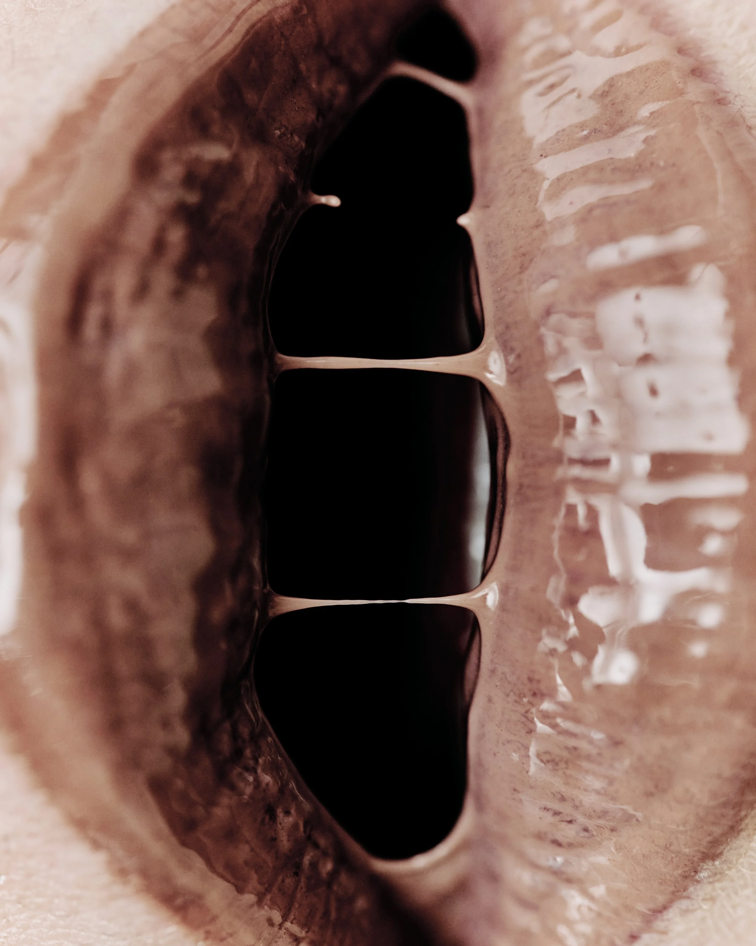 TEETH 21.jpg
