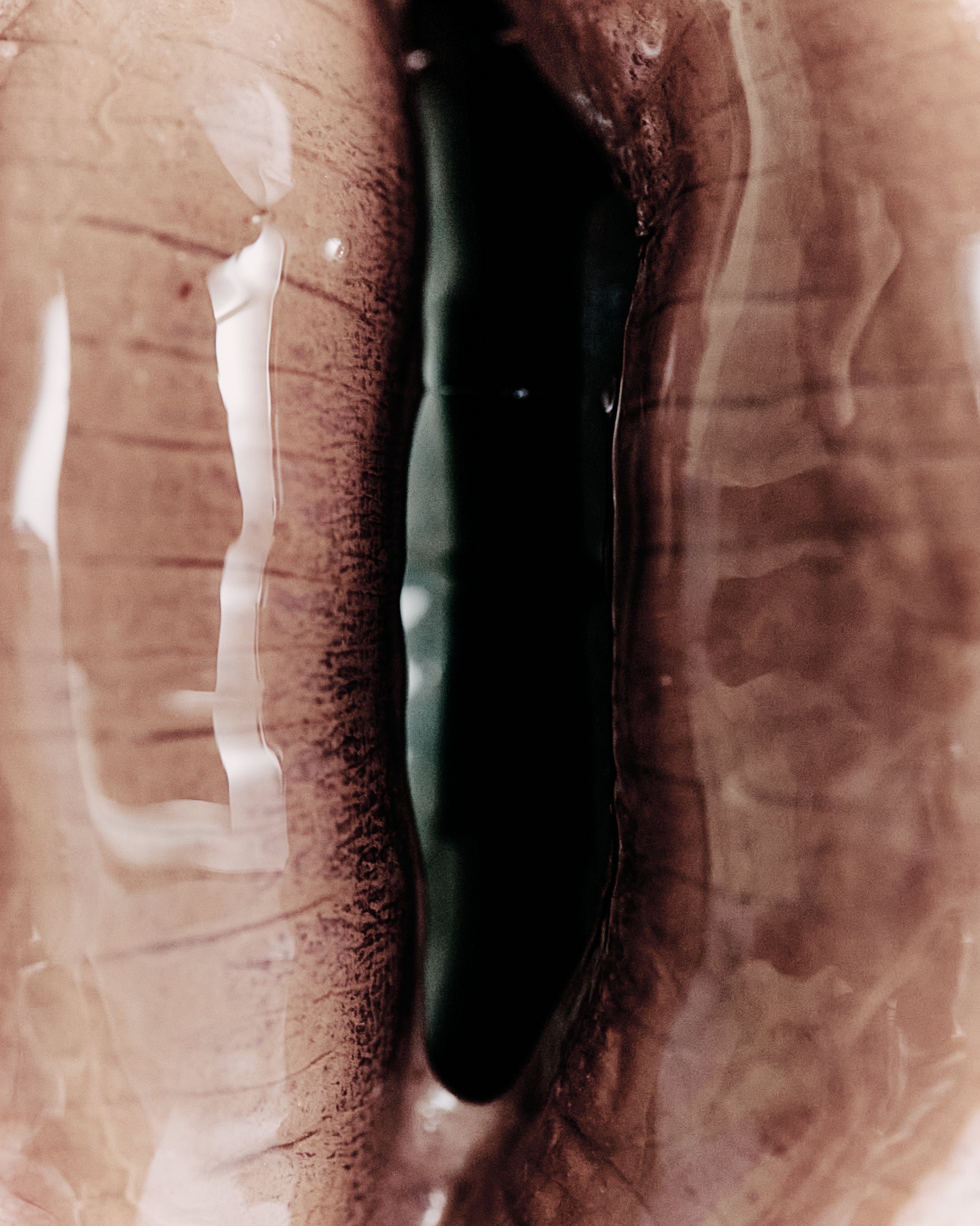 TEETH 19.jpg