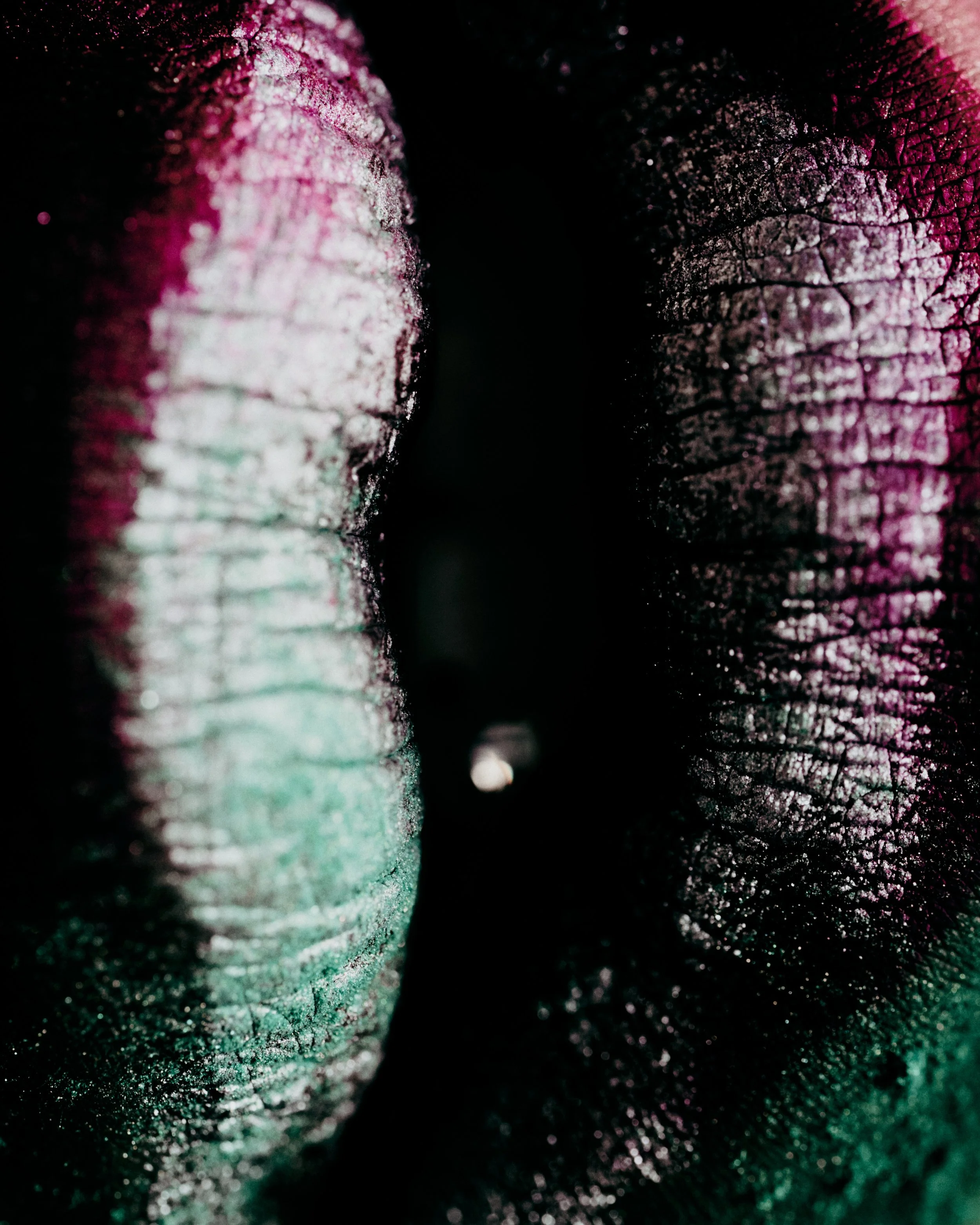TEETH 7.jpg