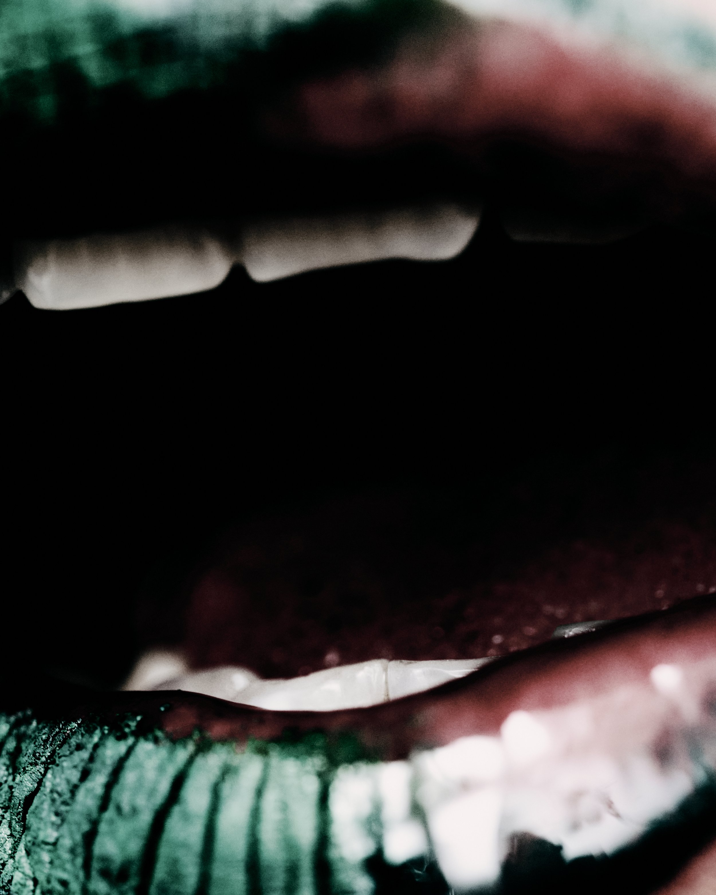 TEETH 16.jpg