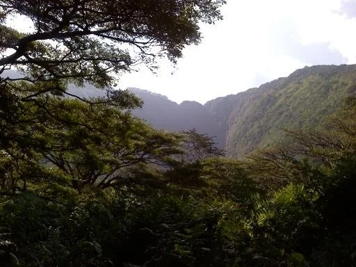 hiking-down-hawaii-waipio-valley.jpg