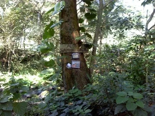 waipio-valley-waimanu-jack-sign.jpg