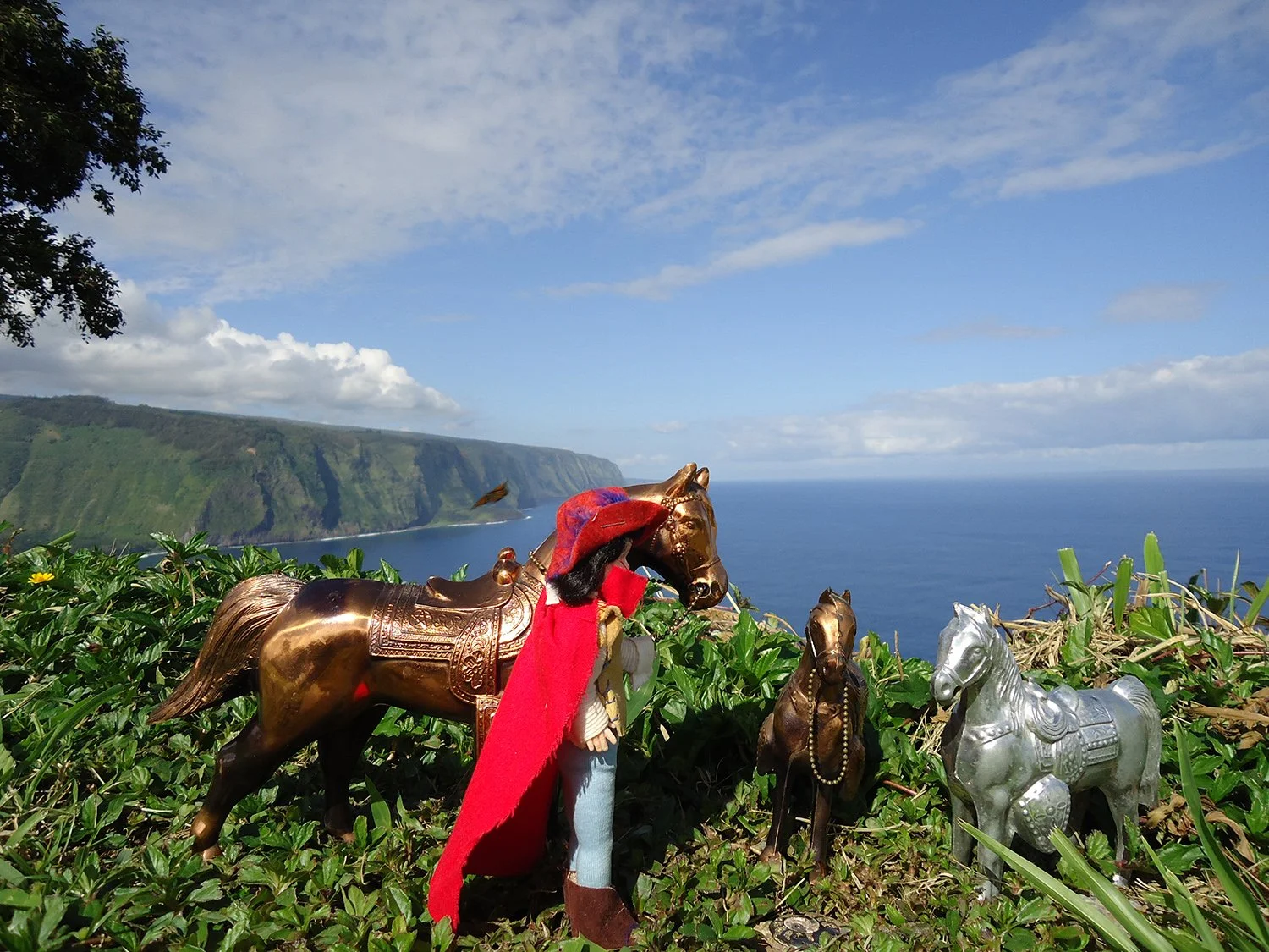 waipio-valley-robin-hood-butterfly.jpg