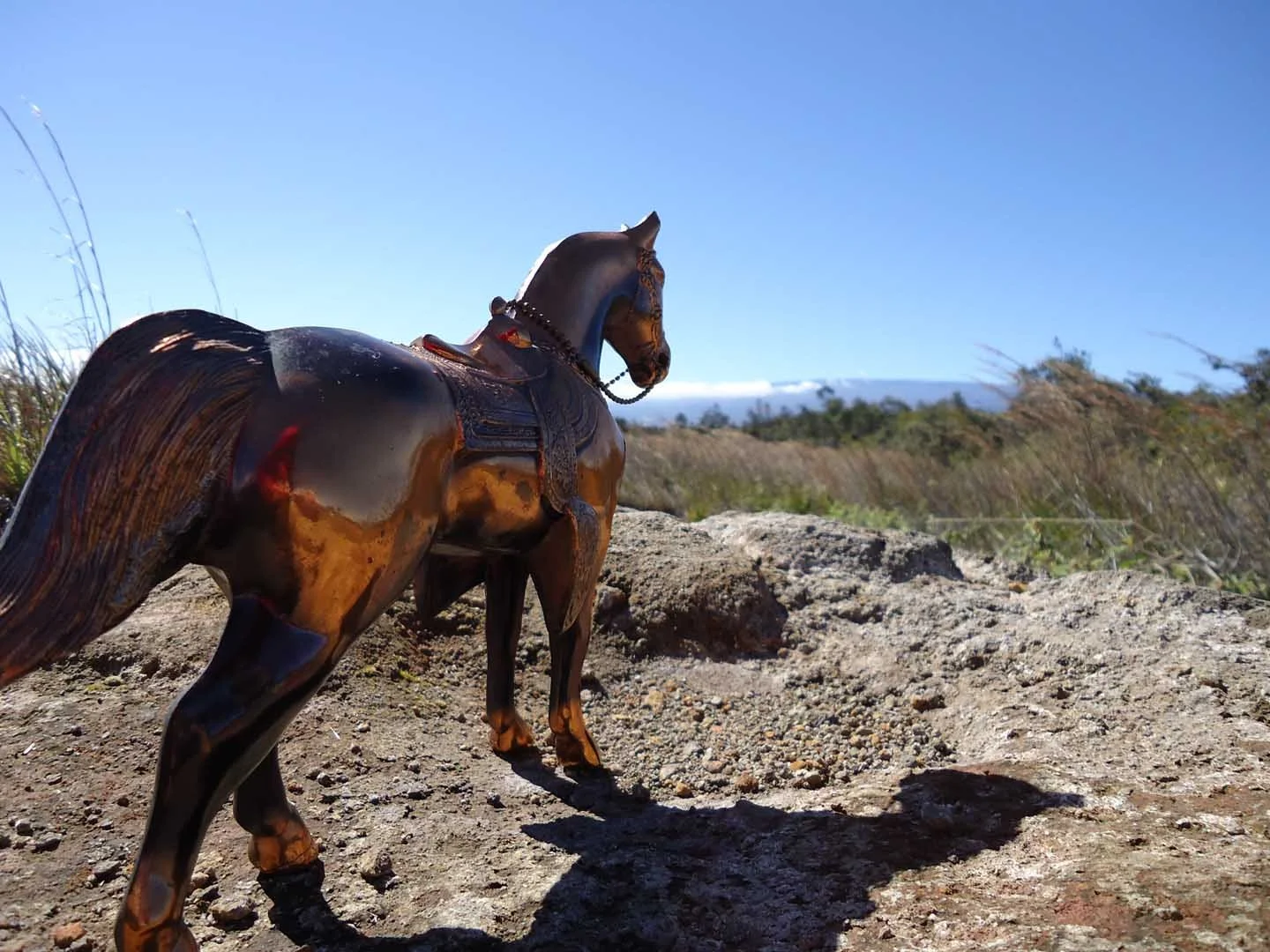 bronze-horse-facing-desert-volcano-landscape.jpg