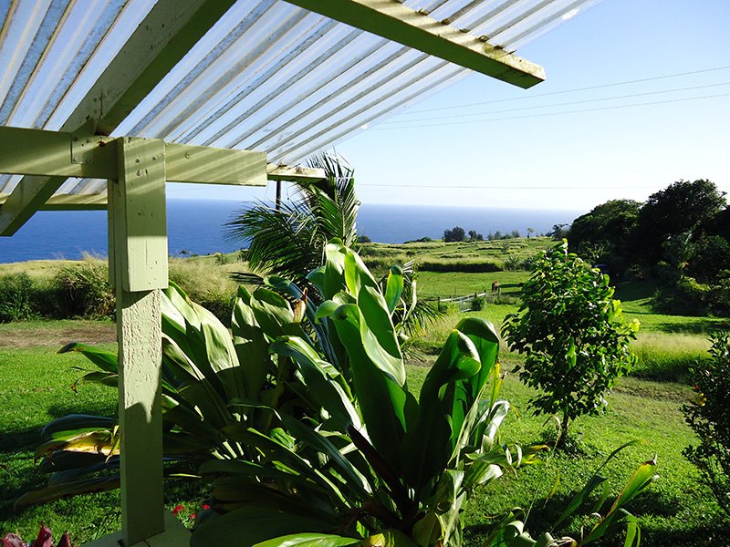 waipio-valley-sunrise-from-sugar-cane-cottage.jpg