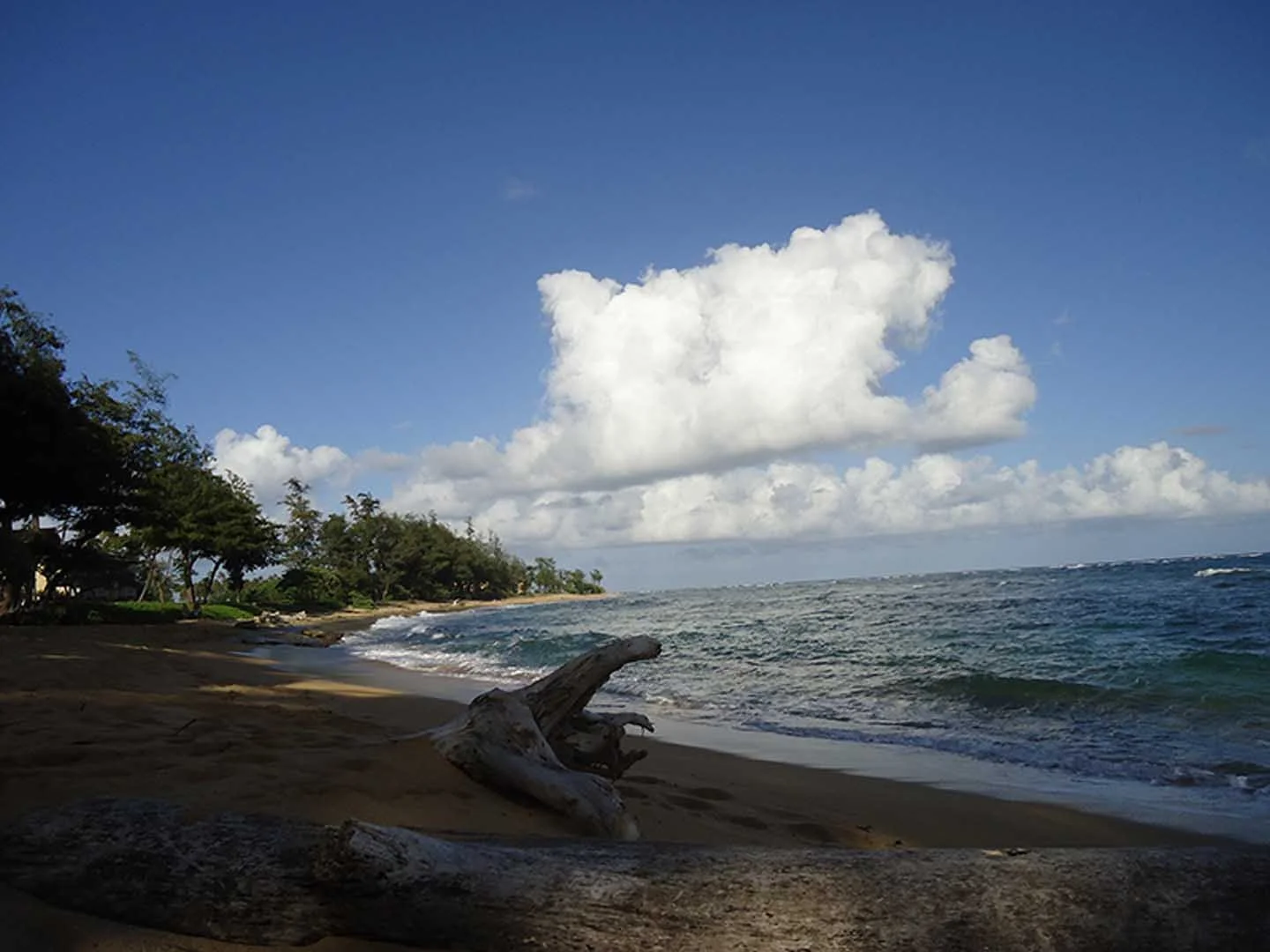 big-island-beach-scene.jpg
