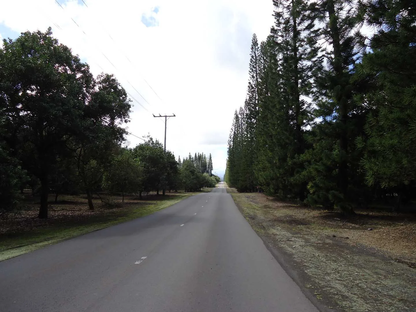 drive-up-to-volcano-summit-big-island.jpg