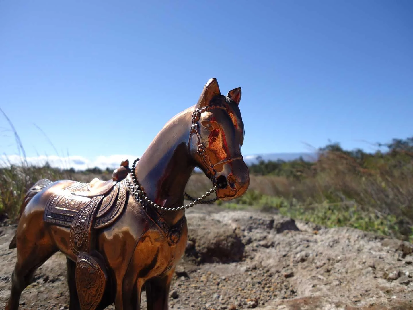 The Way of Wind Horse