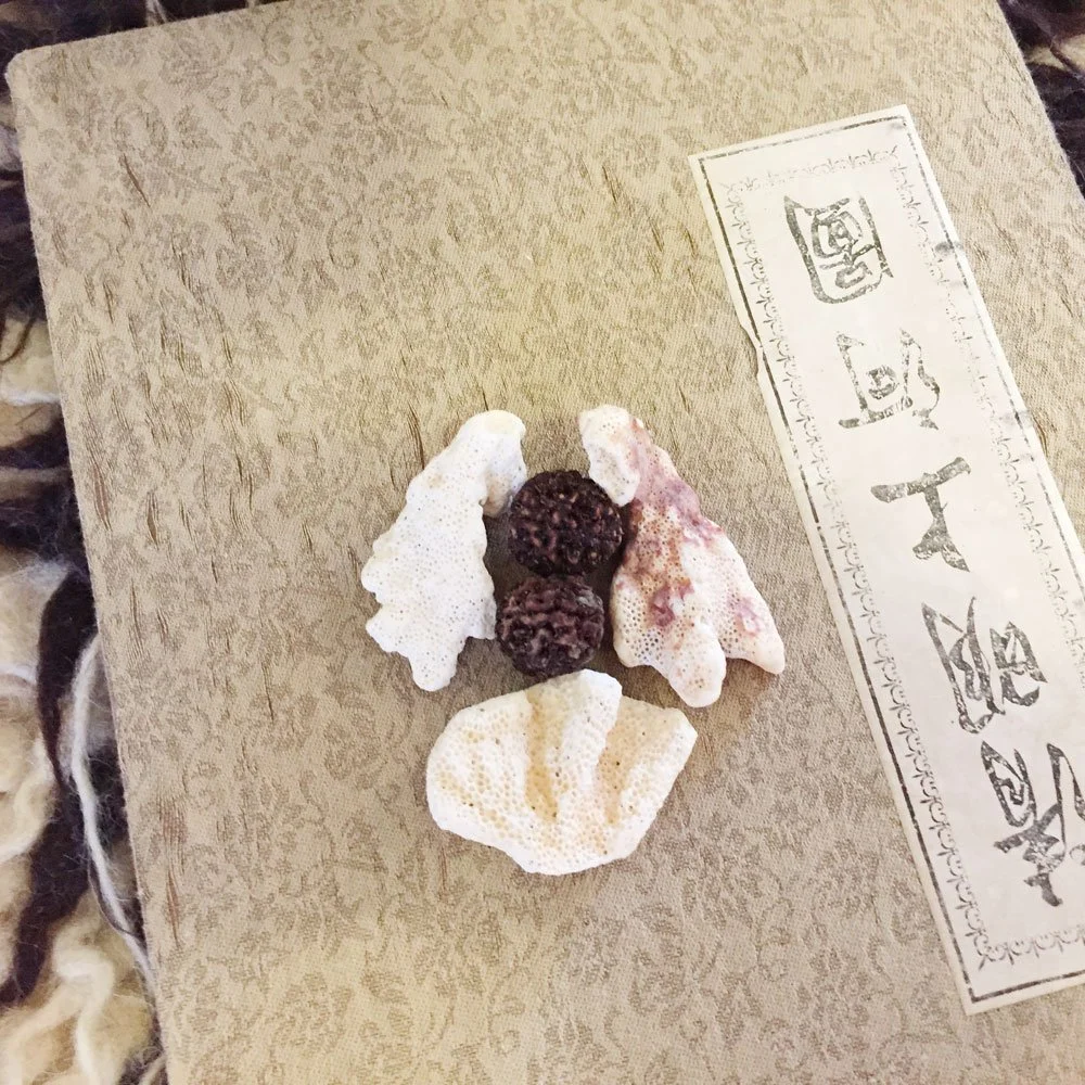 ancient-chinese-healing-calligraphy-book-rudraksha.jpg