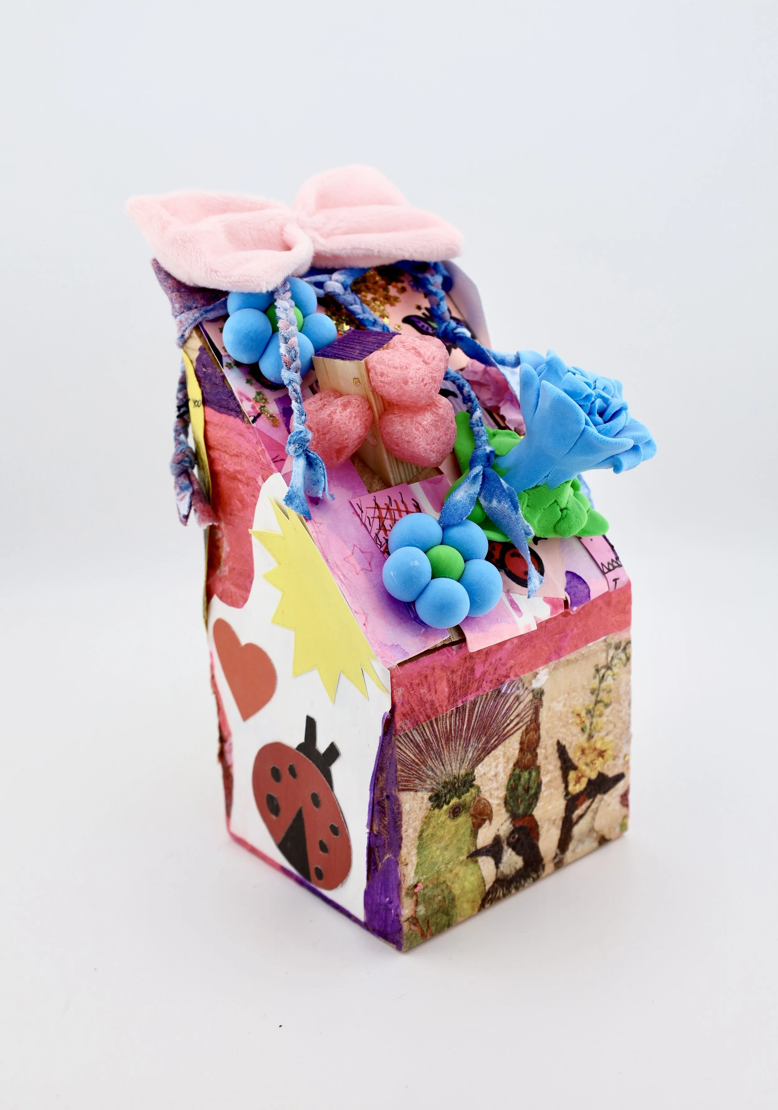 Rustic Pink House by Katiana Torres - Little House 2026 - Buy Now