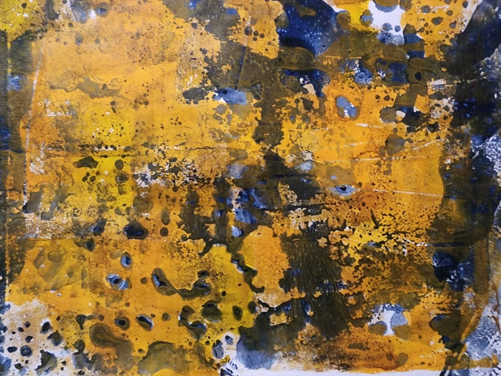 Vicki DaigneauGelliPrintClass03.jpg