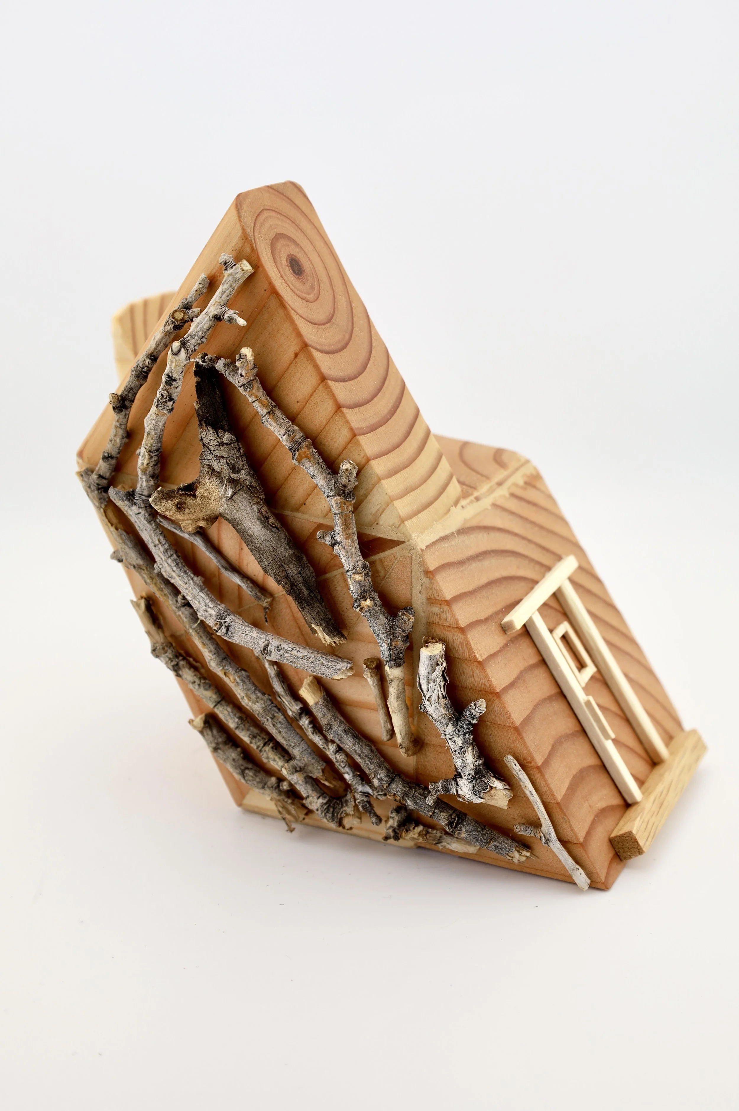 Cat Wood Commons by Sooz Hoffman- Little House 2026 - Buy Now